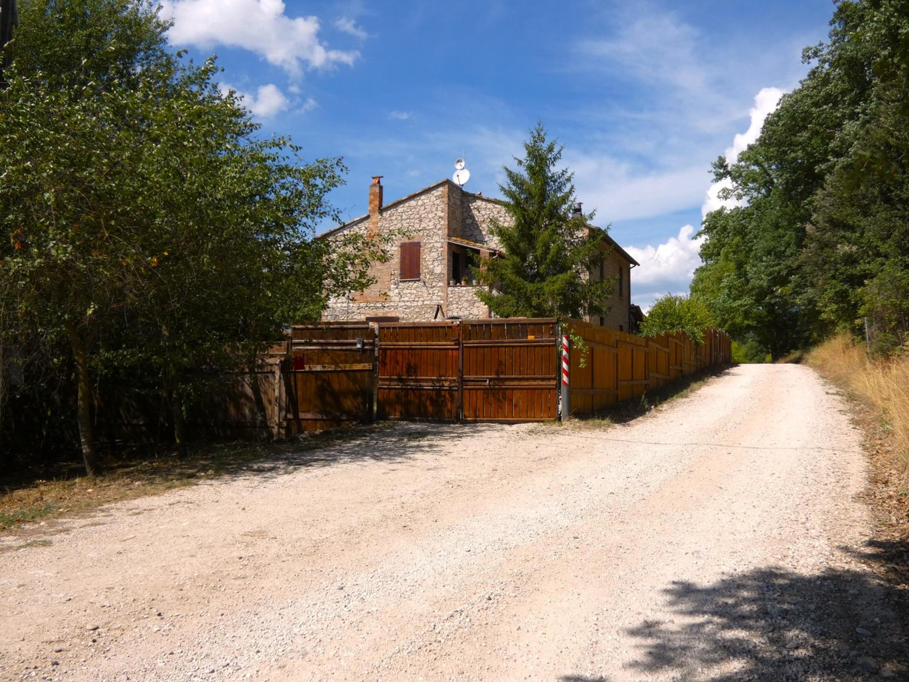Photo 41