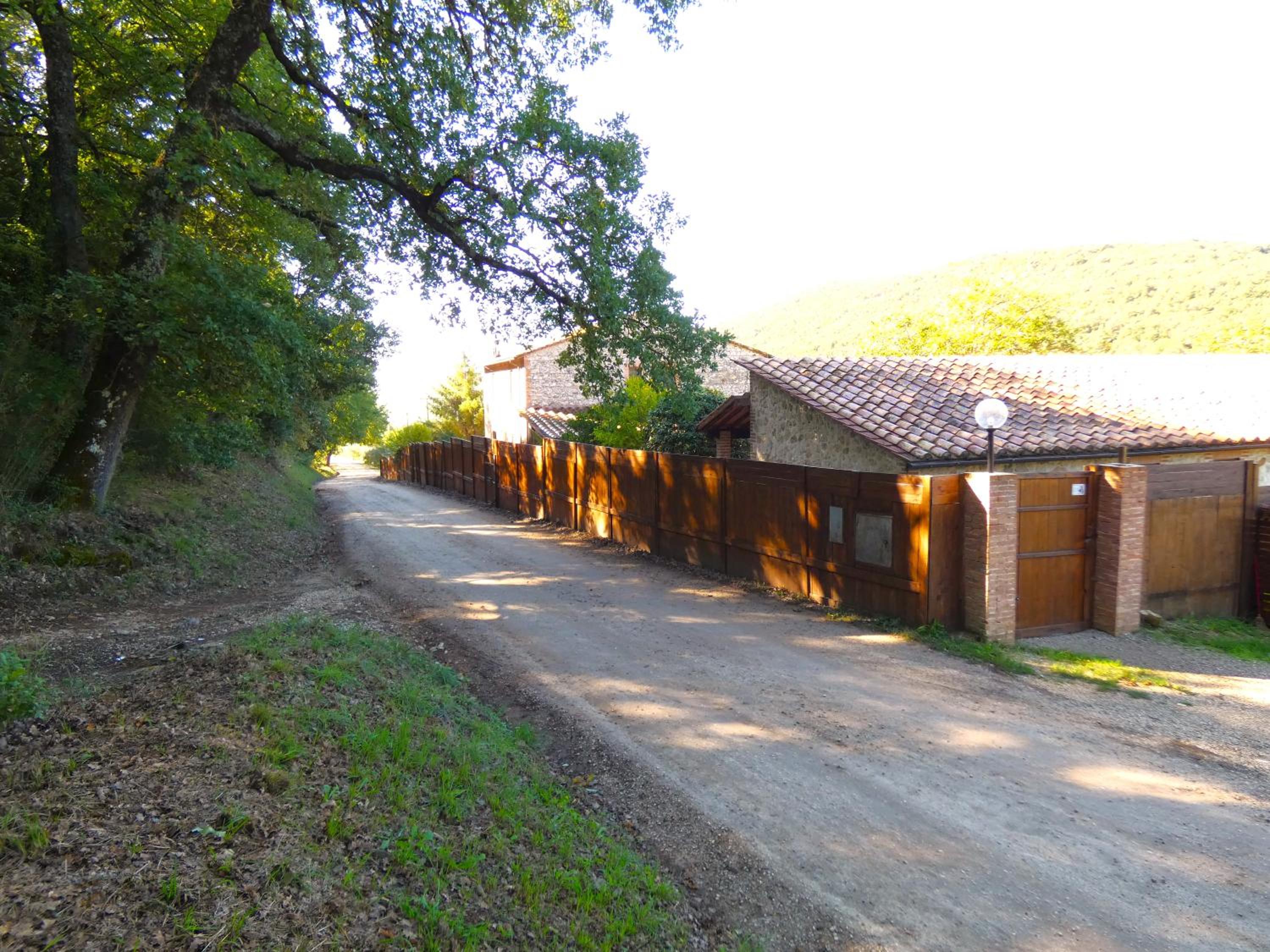 Photo 42