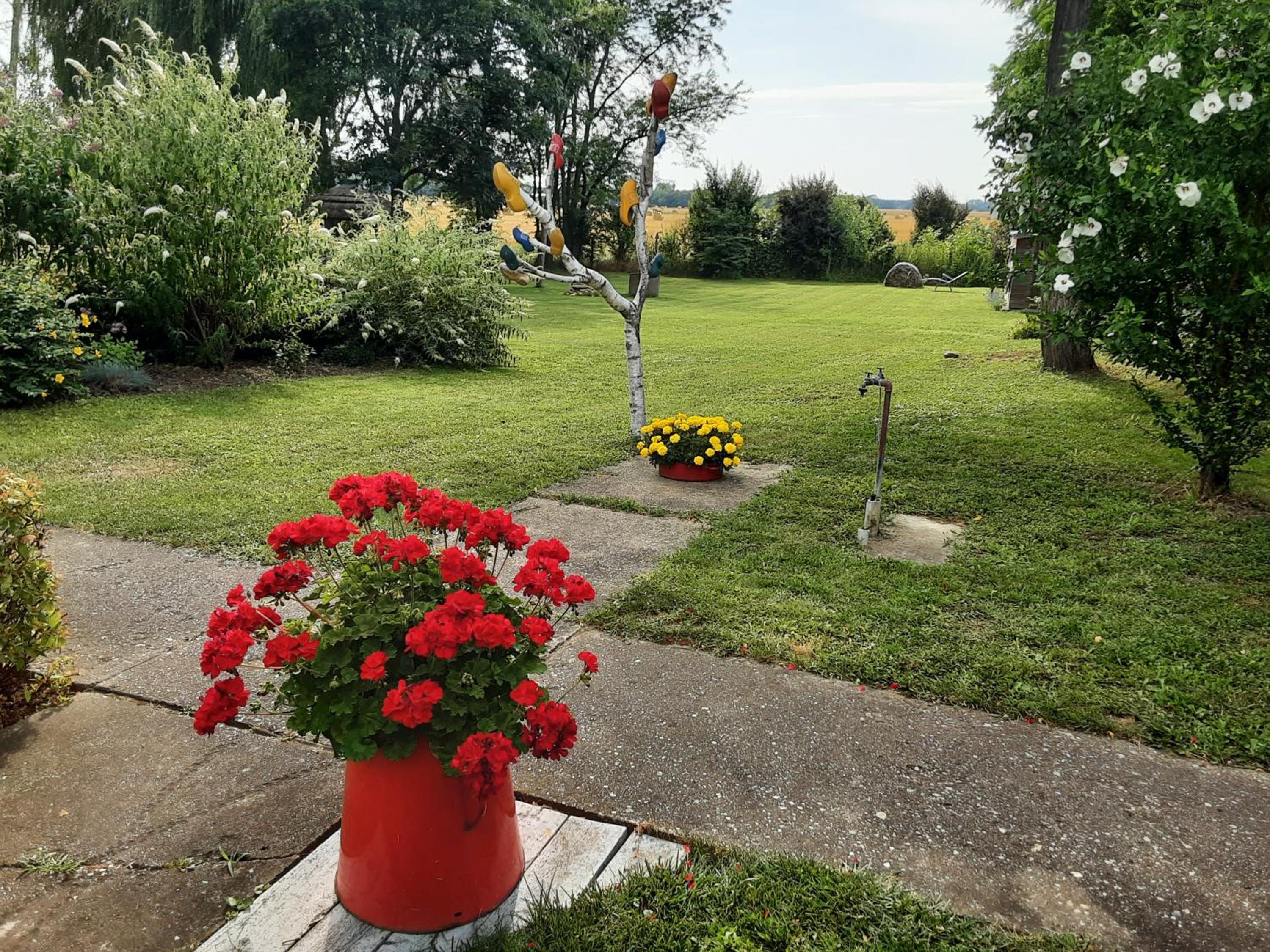 Photo 29