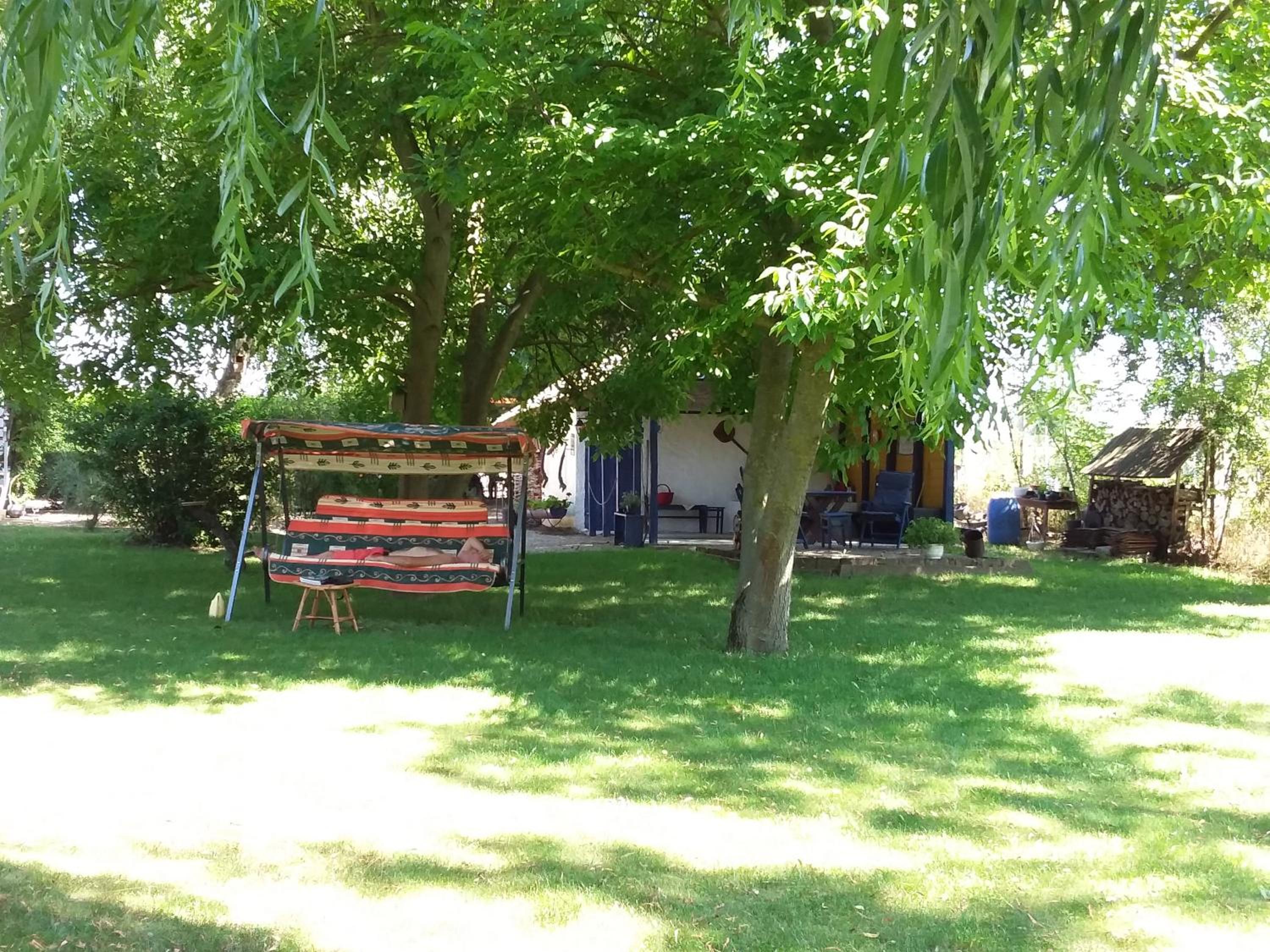 Photo 33