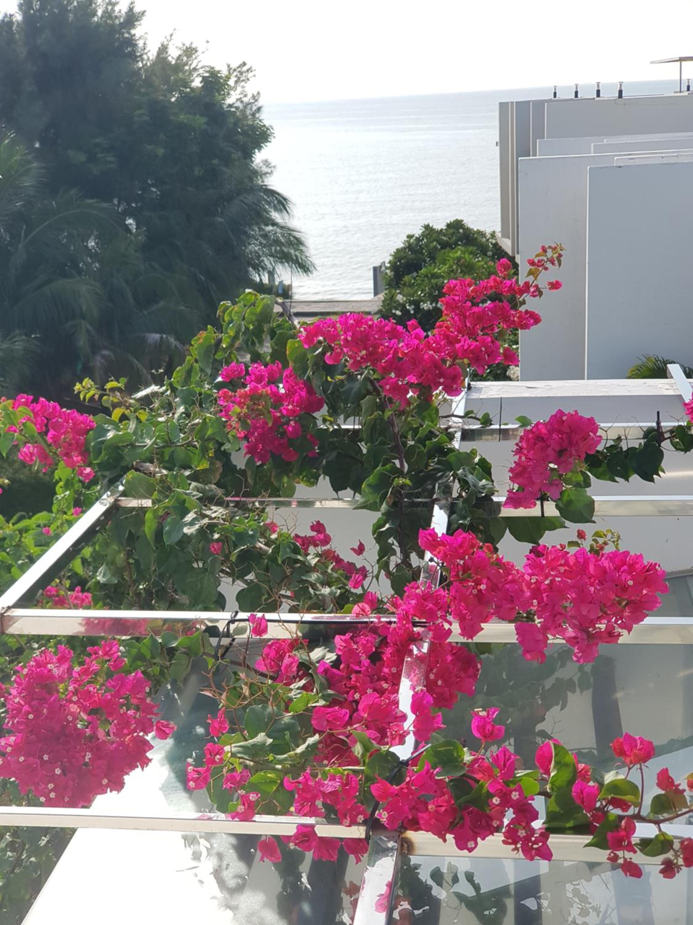 Oceanami Resort Sea View view 5