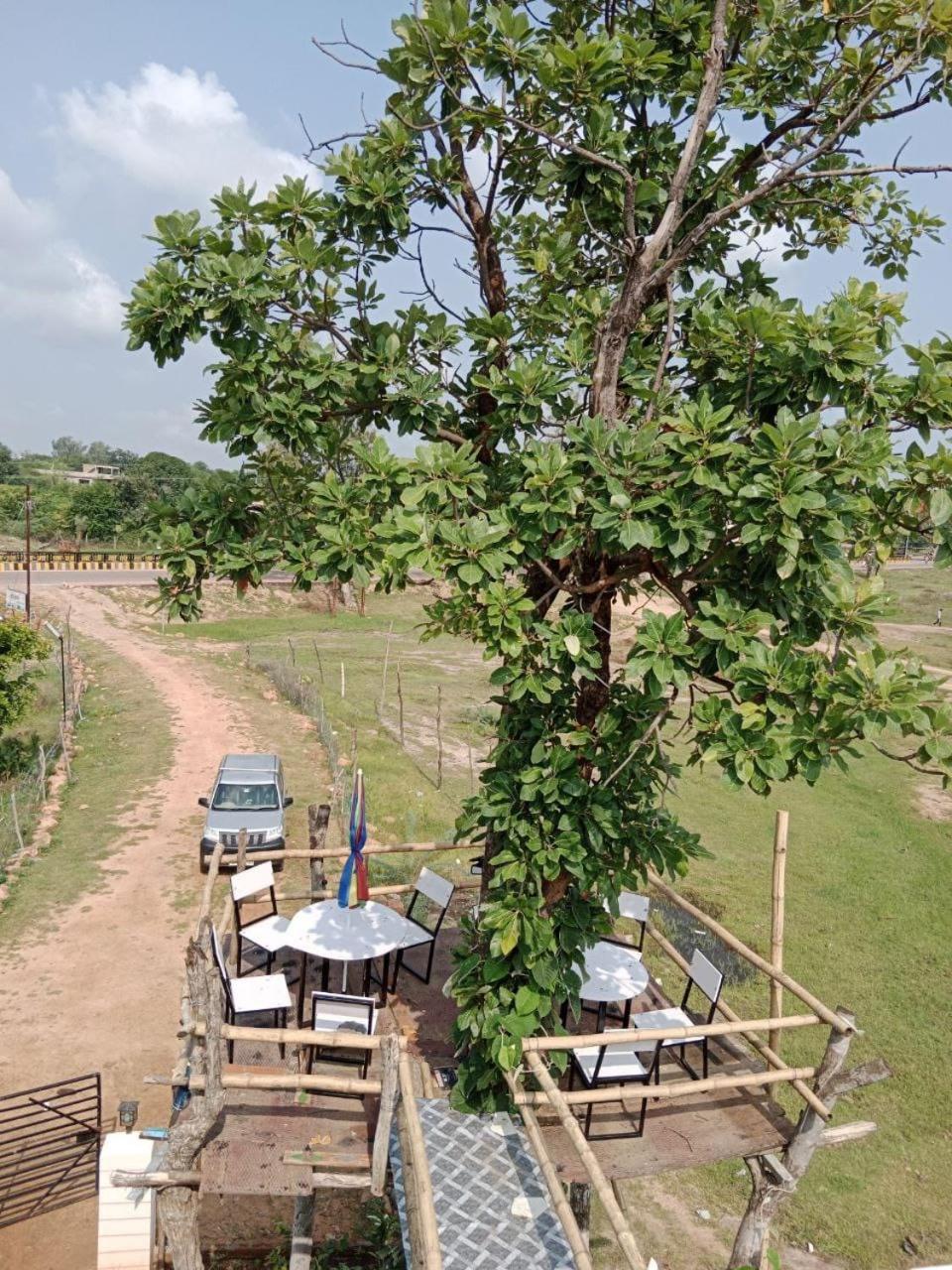 Shree Mahal homestay view 3