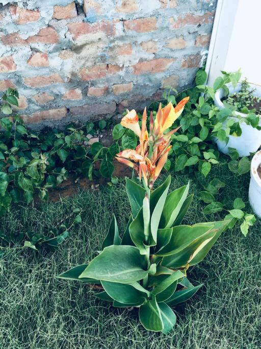 Photo 49
