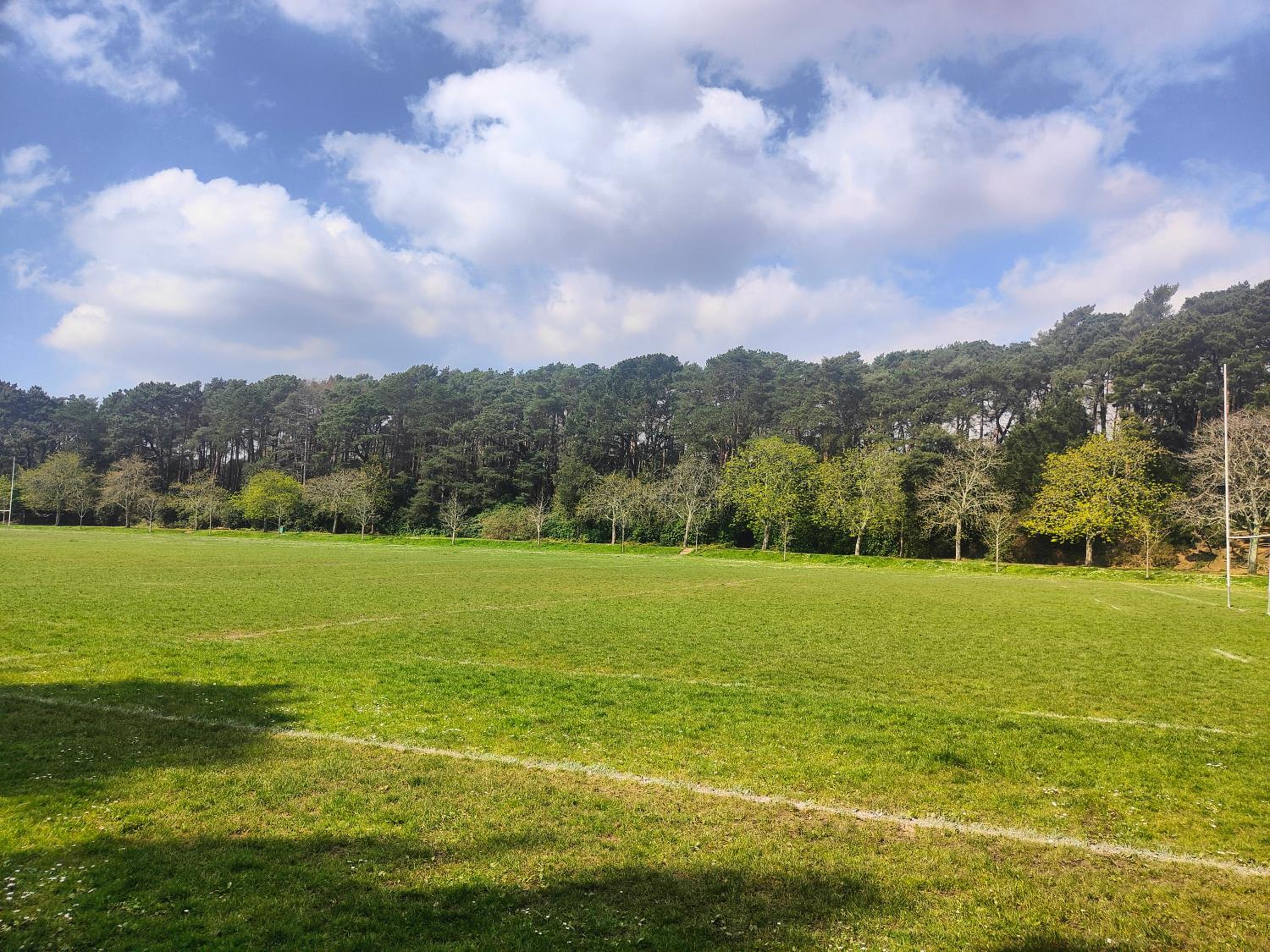 Peaceful Getaway in Forested Park and Off Street Parking