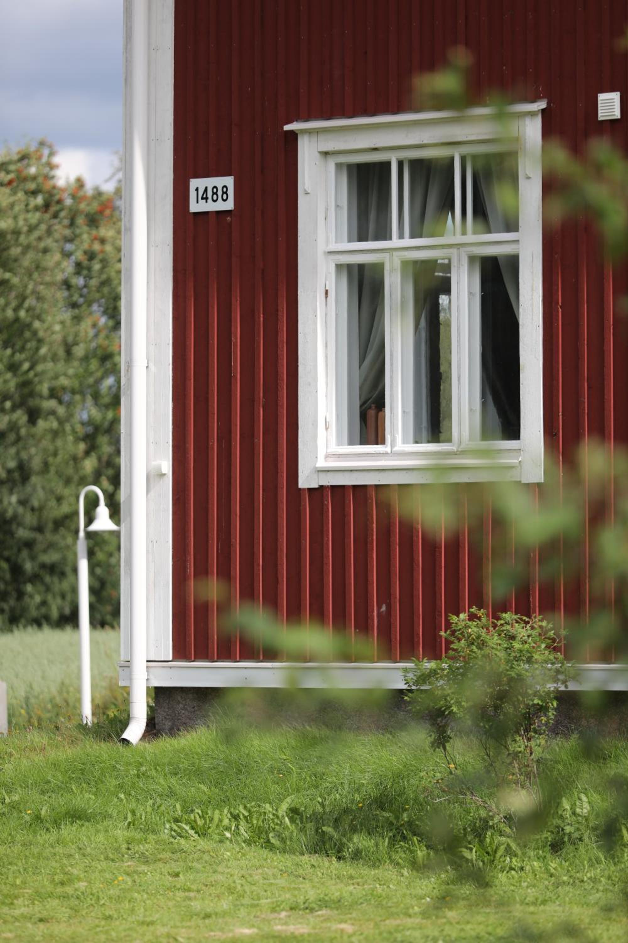 Photo 8