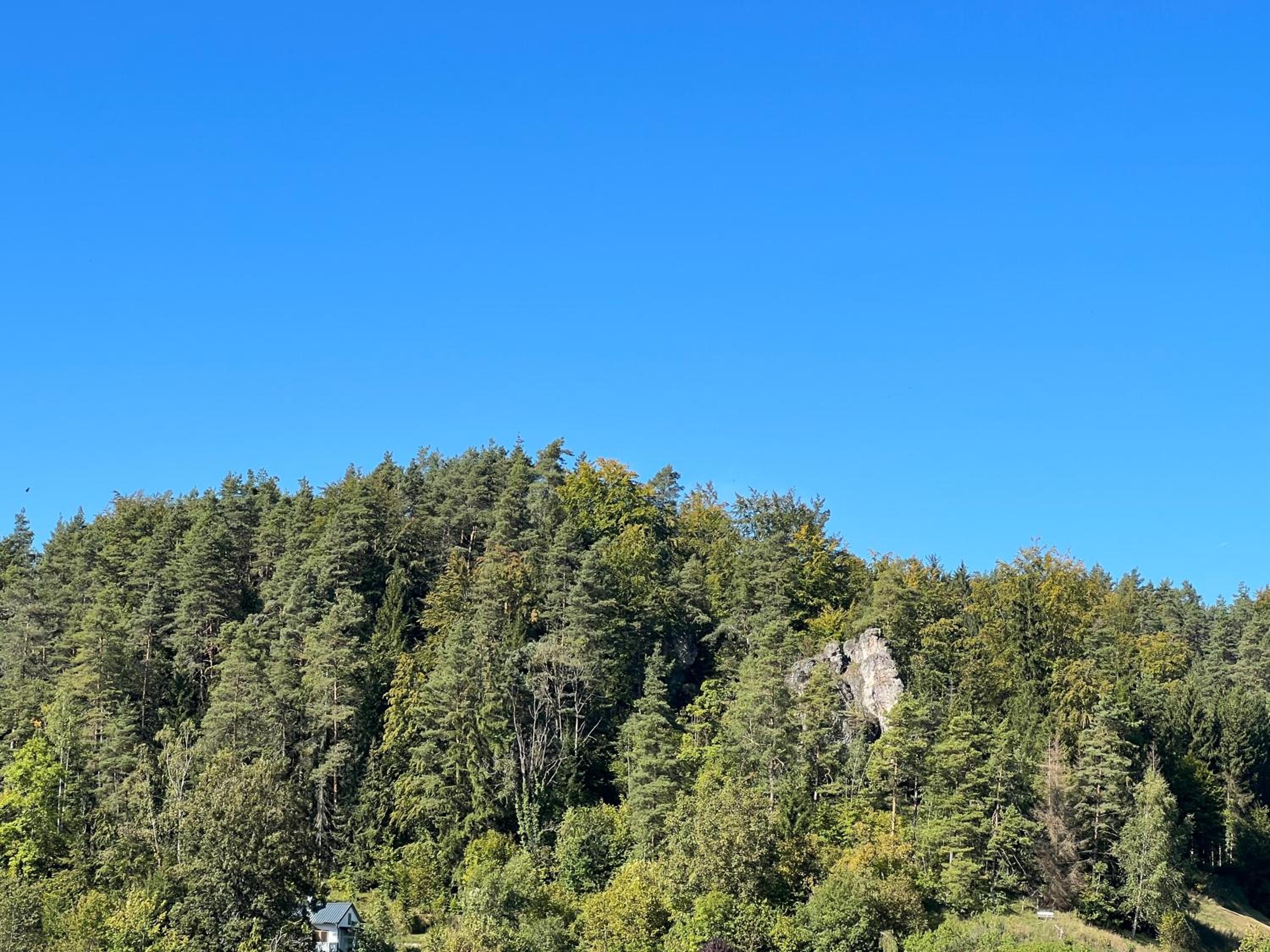 Ferienwohnung Pfaffensteinblick