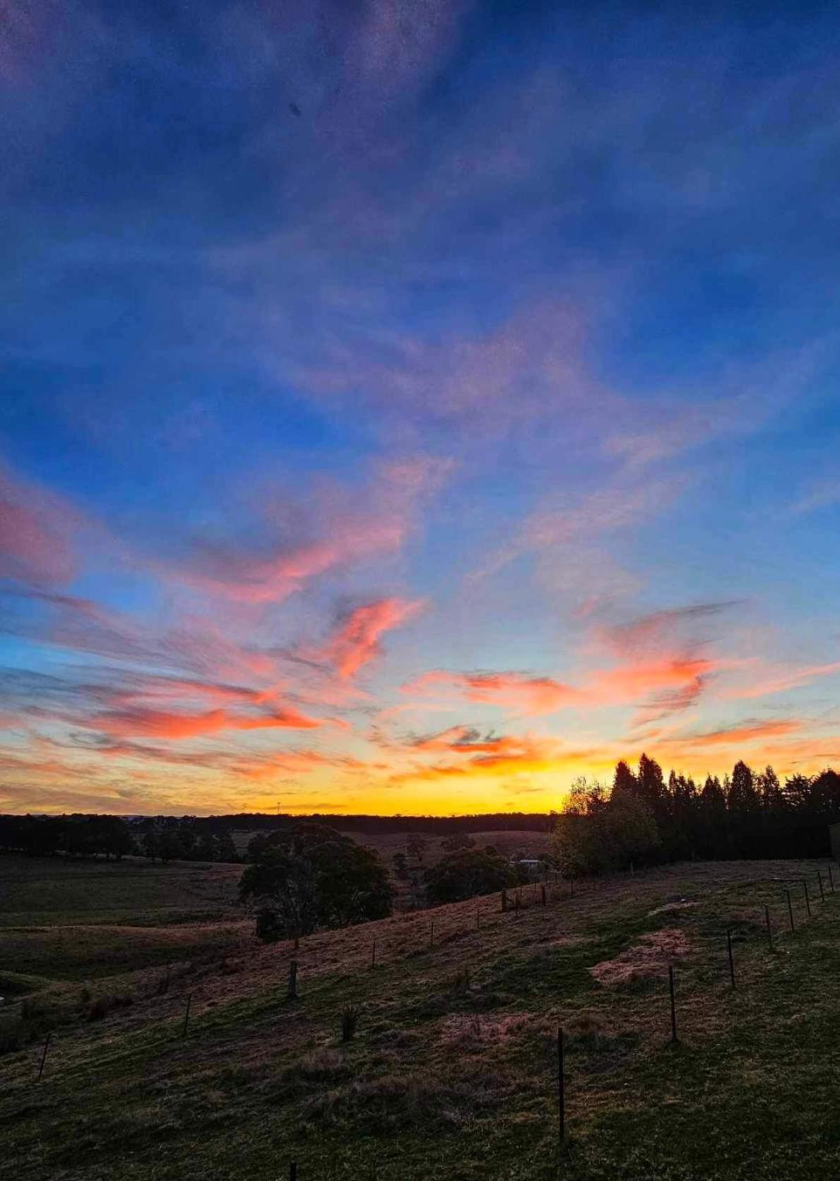 Mountain Culture Farm Stay - pet friendly