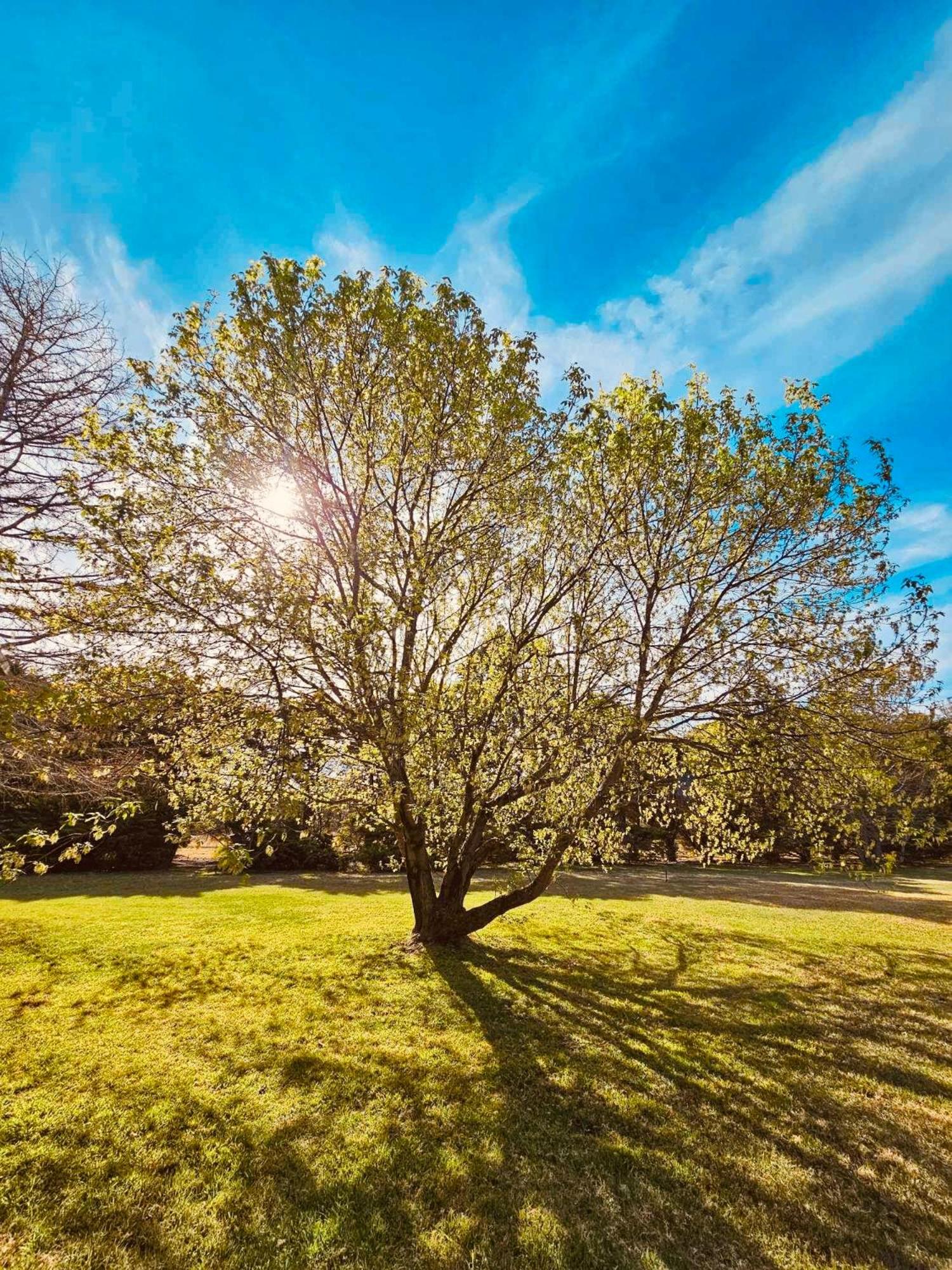 Mountain Culture Farm Stay - pet friendly