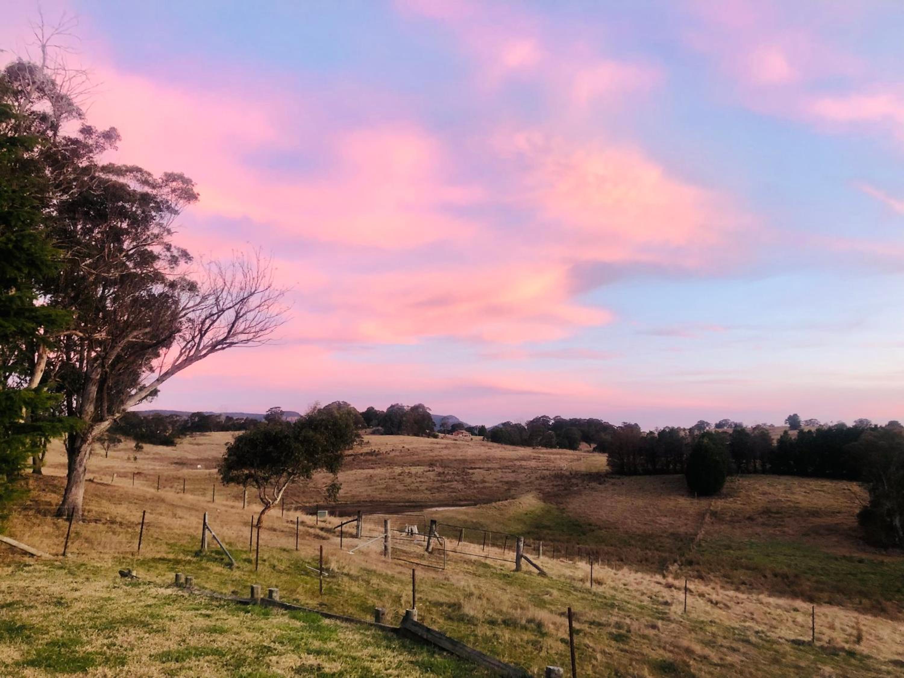 Mountain Culture Farm Stay - pet friendly