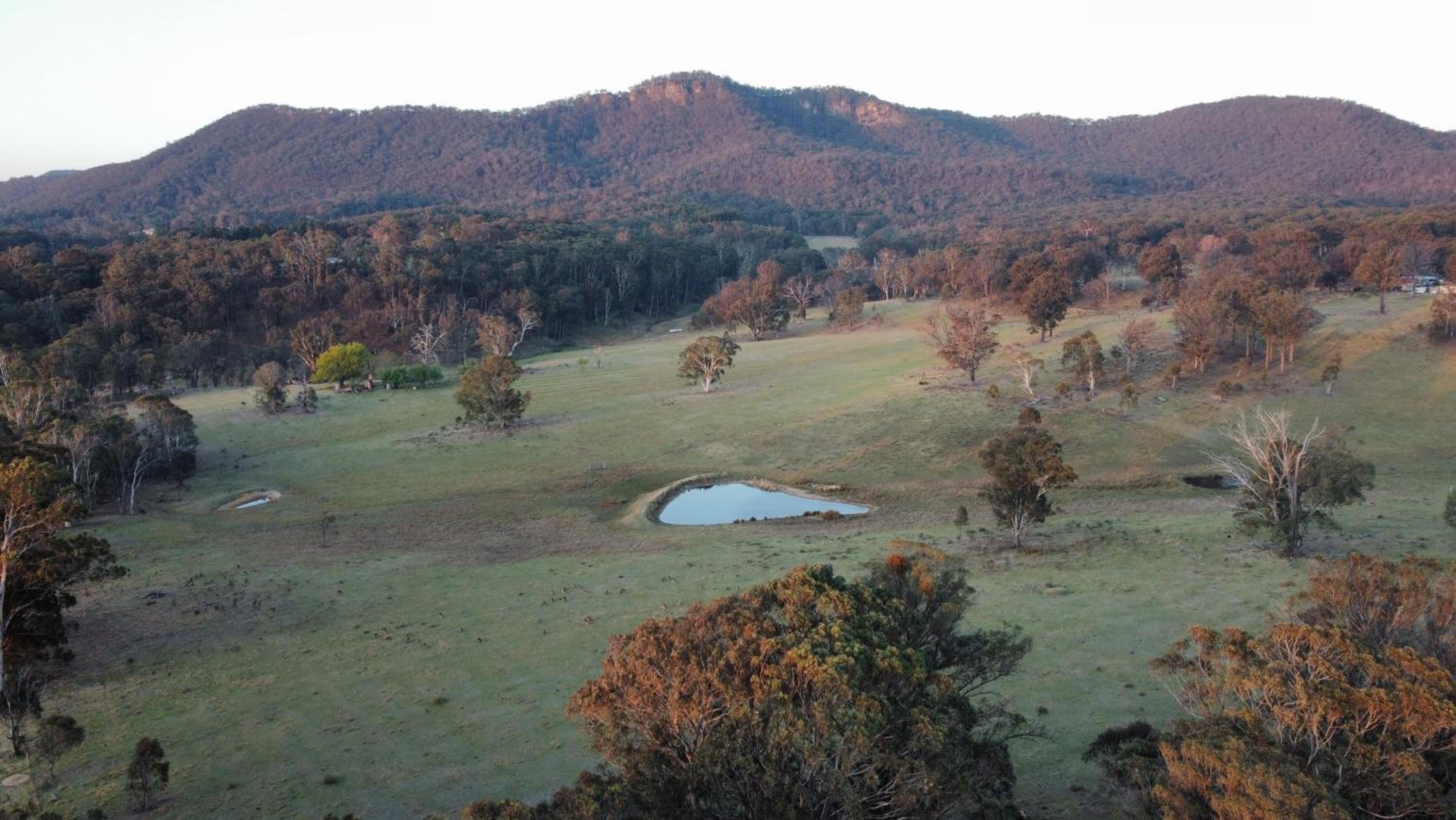 Mountain Culture Farm Stay - pet friendly