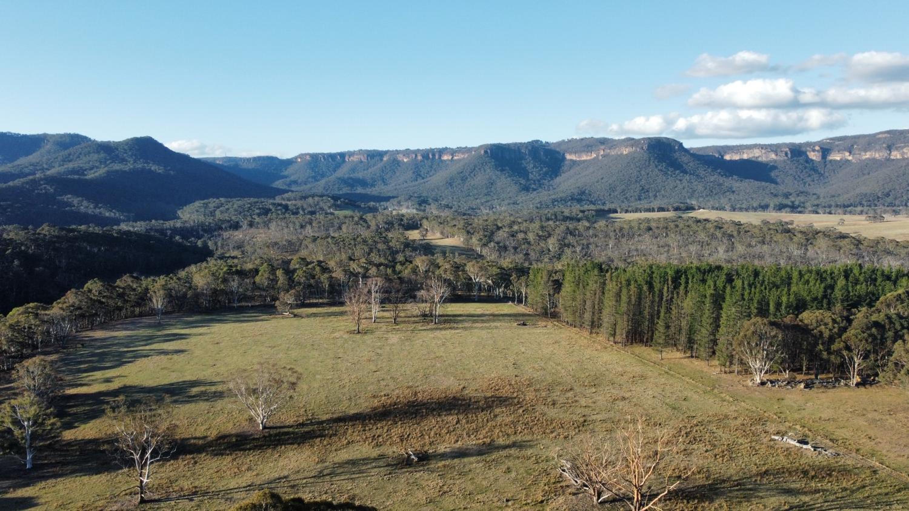 Mountain Culture Farm Stay - pet friendly