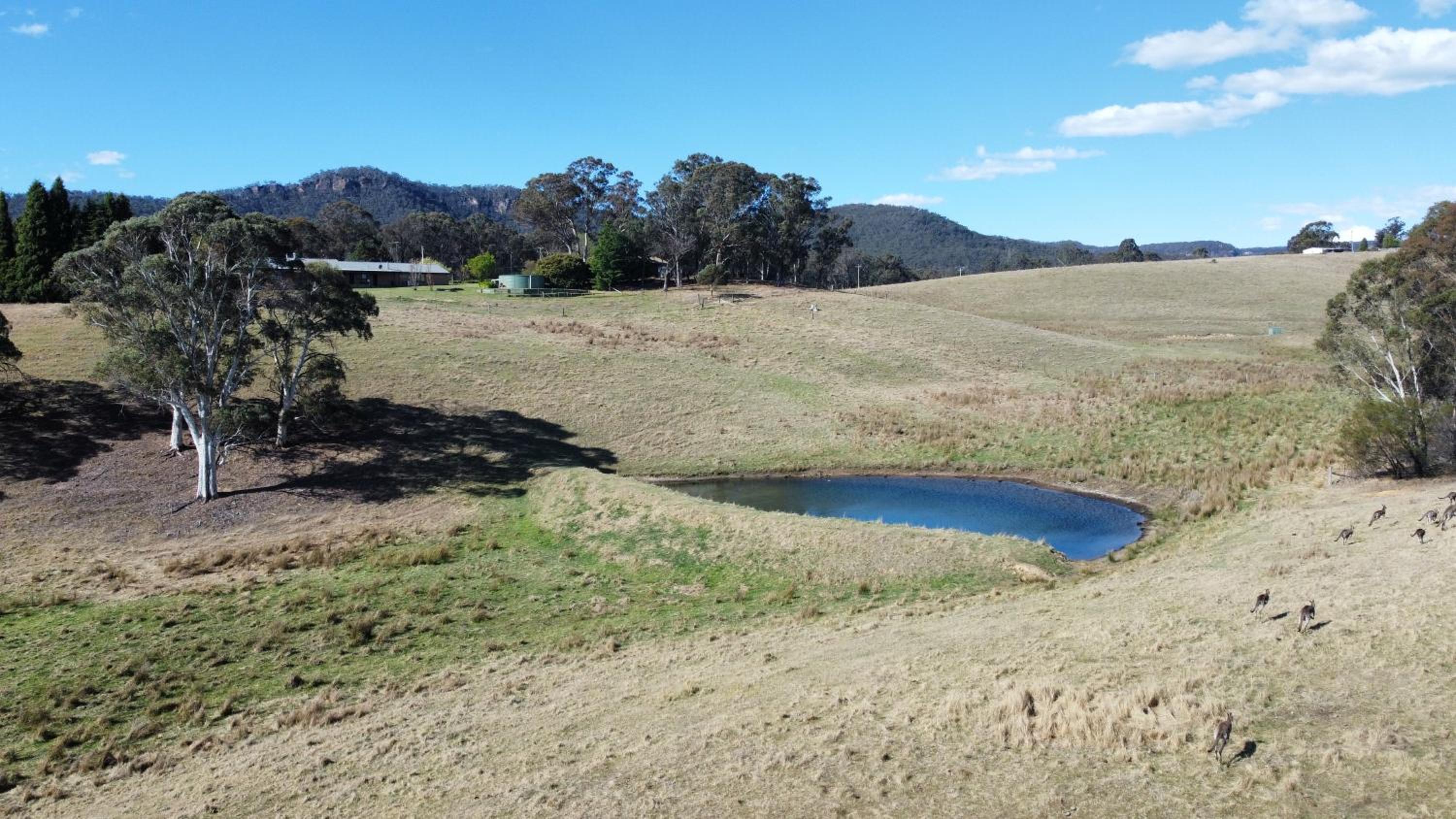 Mountain Culture Farm Stay - pet friendly