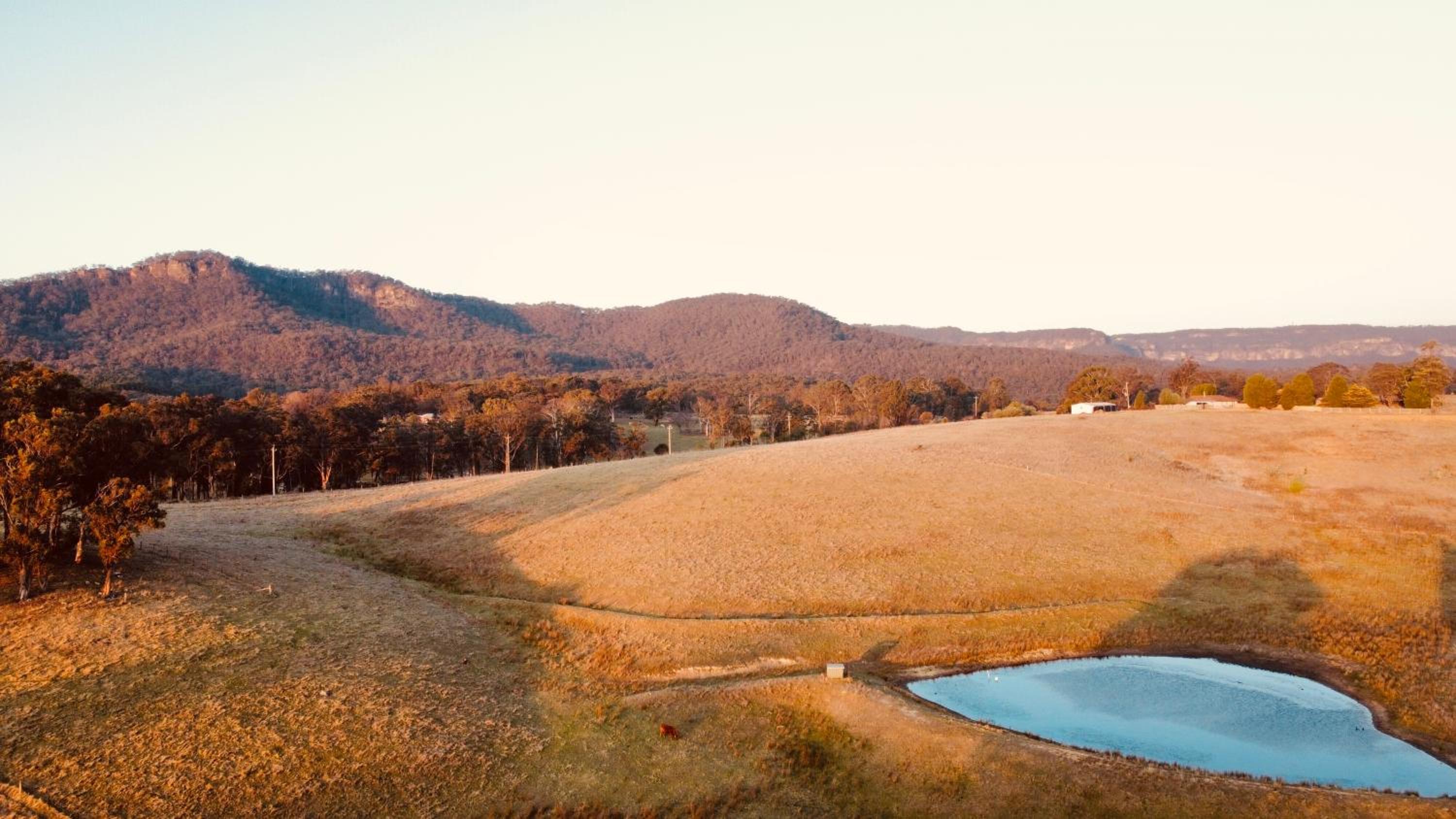 Mountain Culture Farm Stay - pet friendly