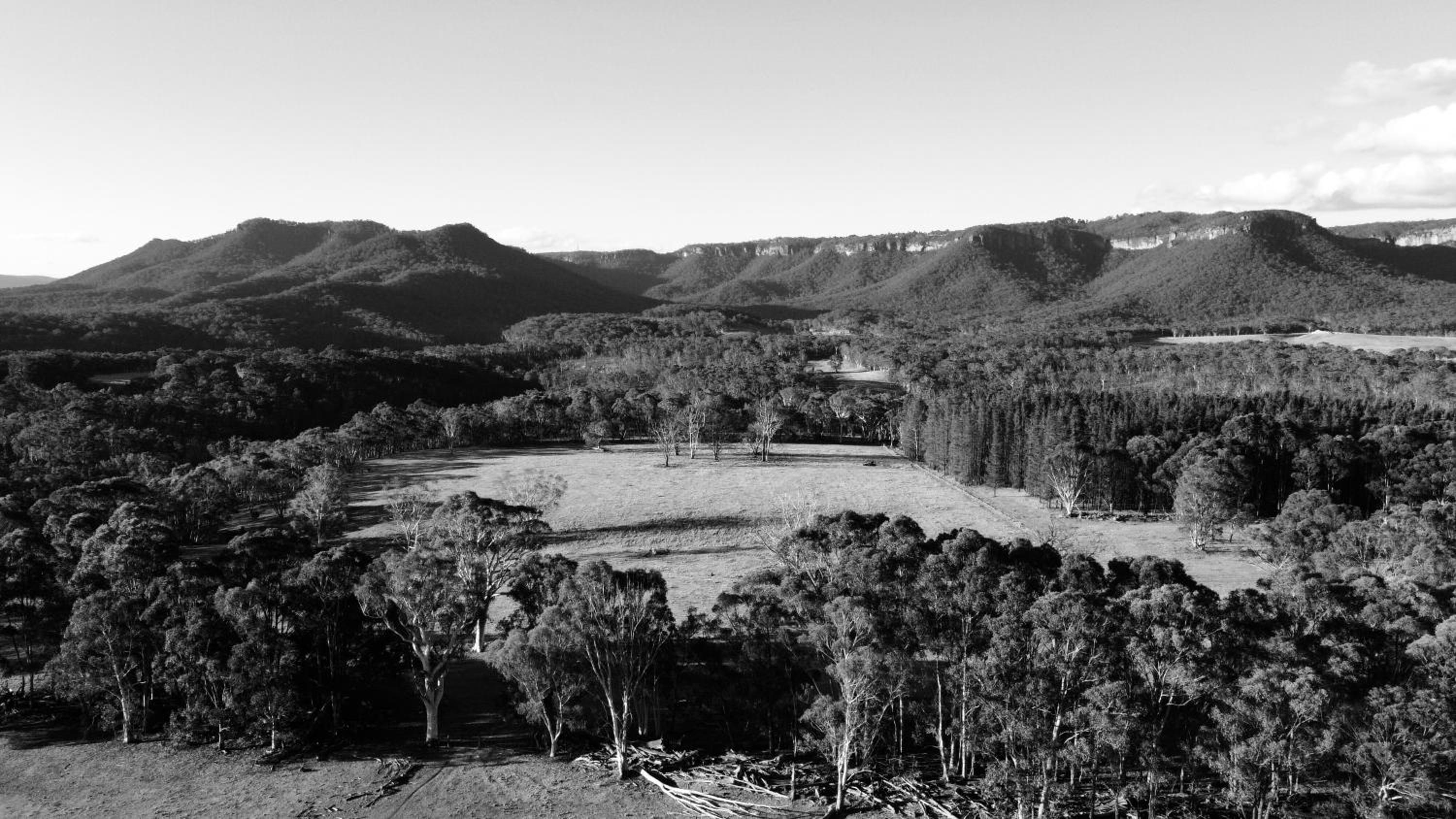 Mountain Culture Farm Stay - pet friendly