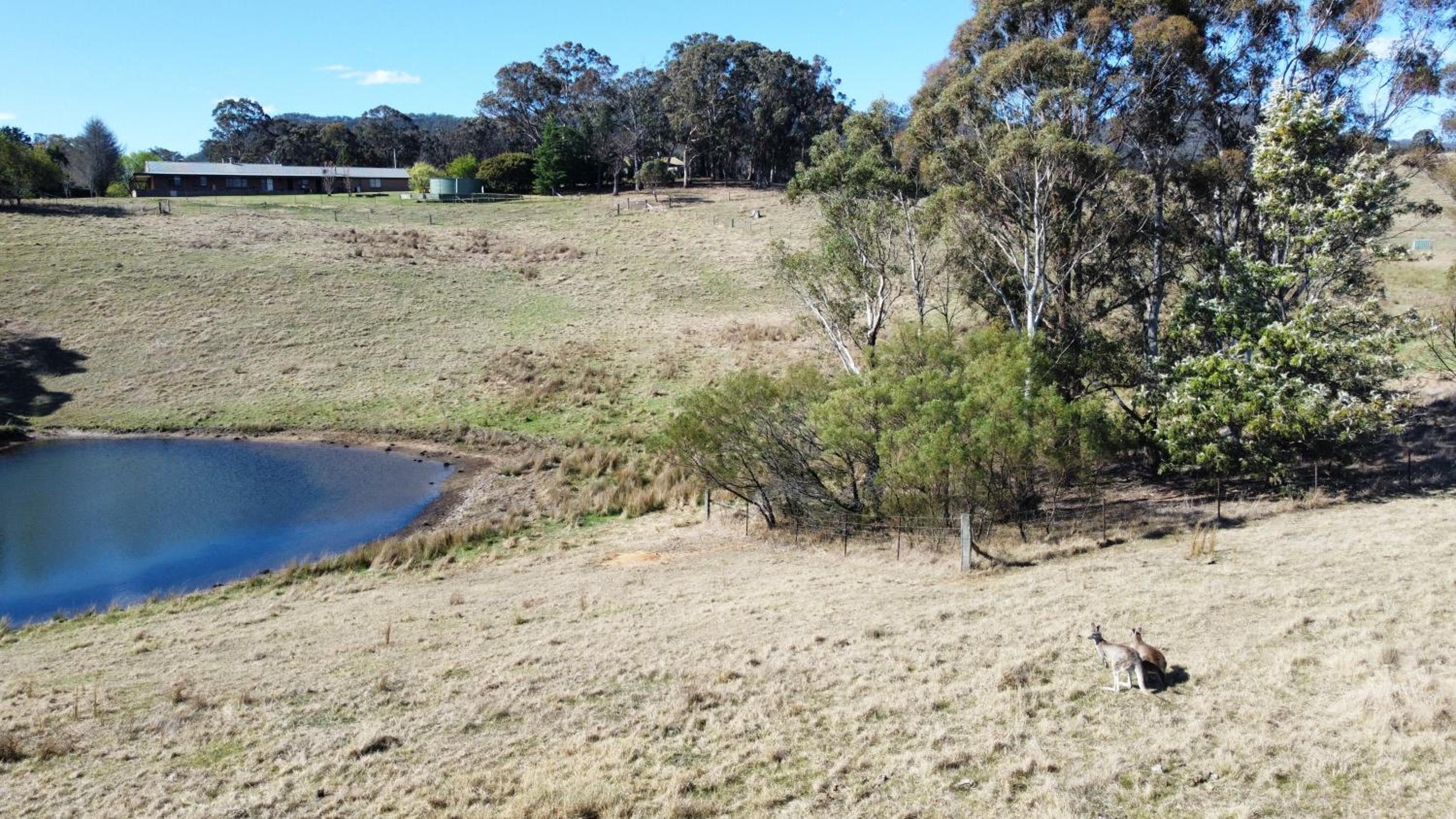 Mountain Culture Farm Stay - pet friendly