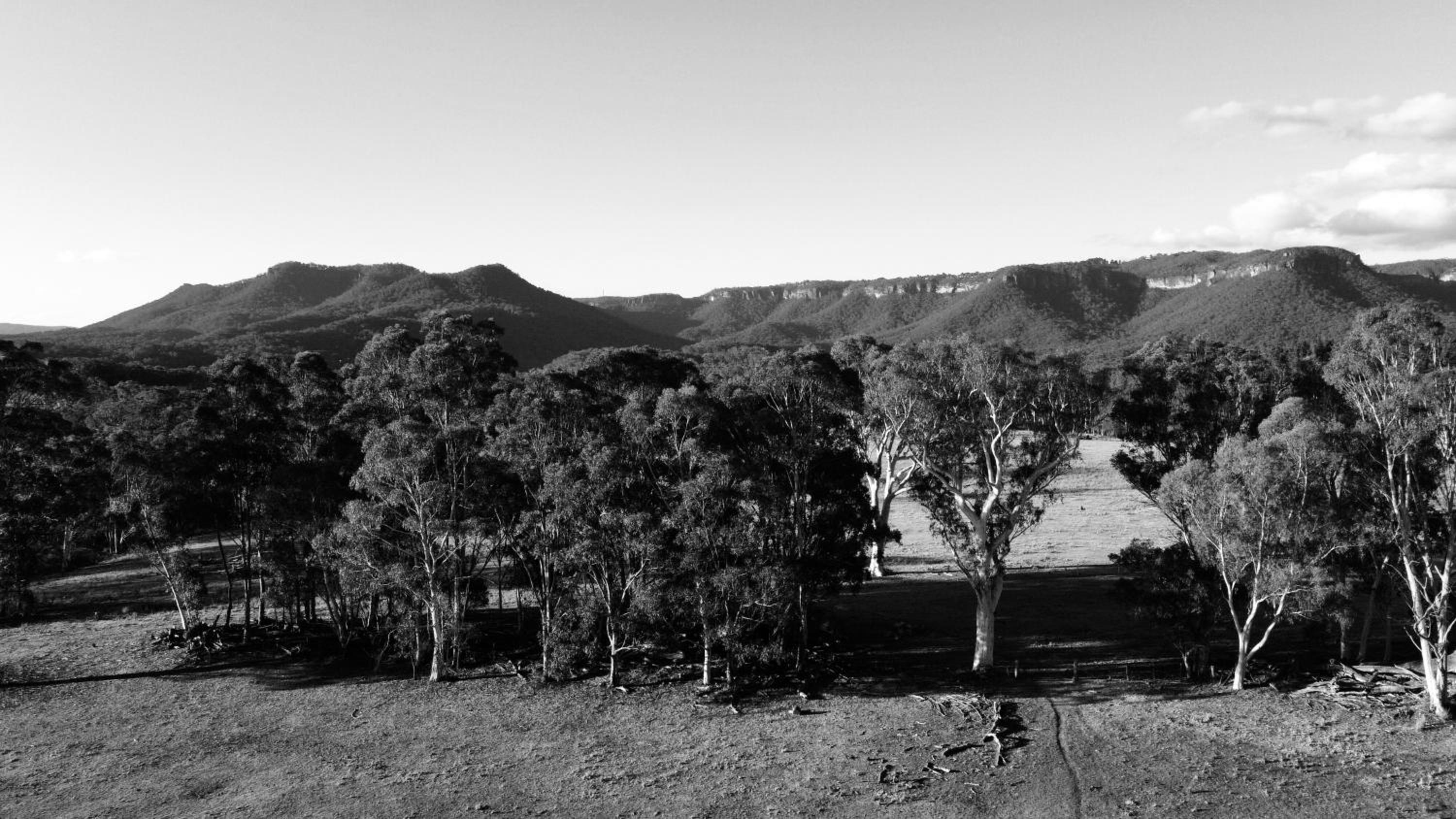 Mountain Culture Farm Stay - pet friendly
