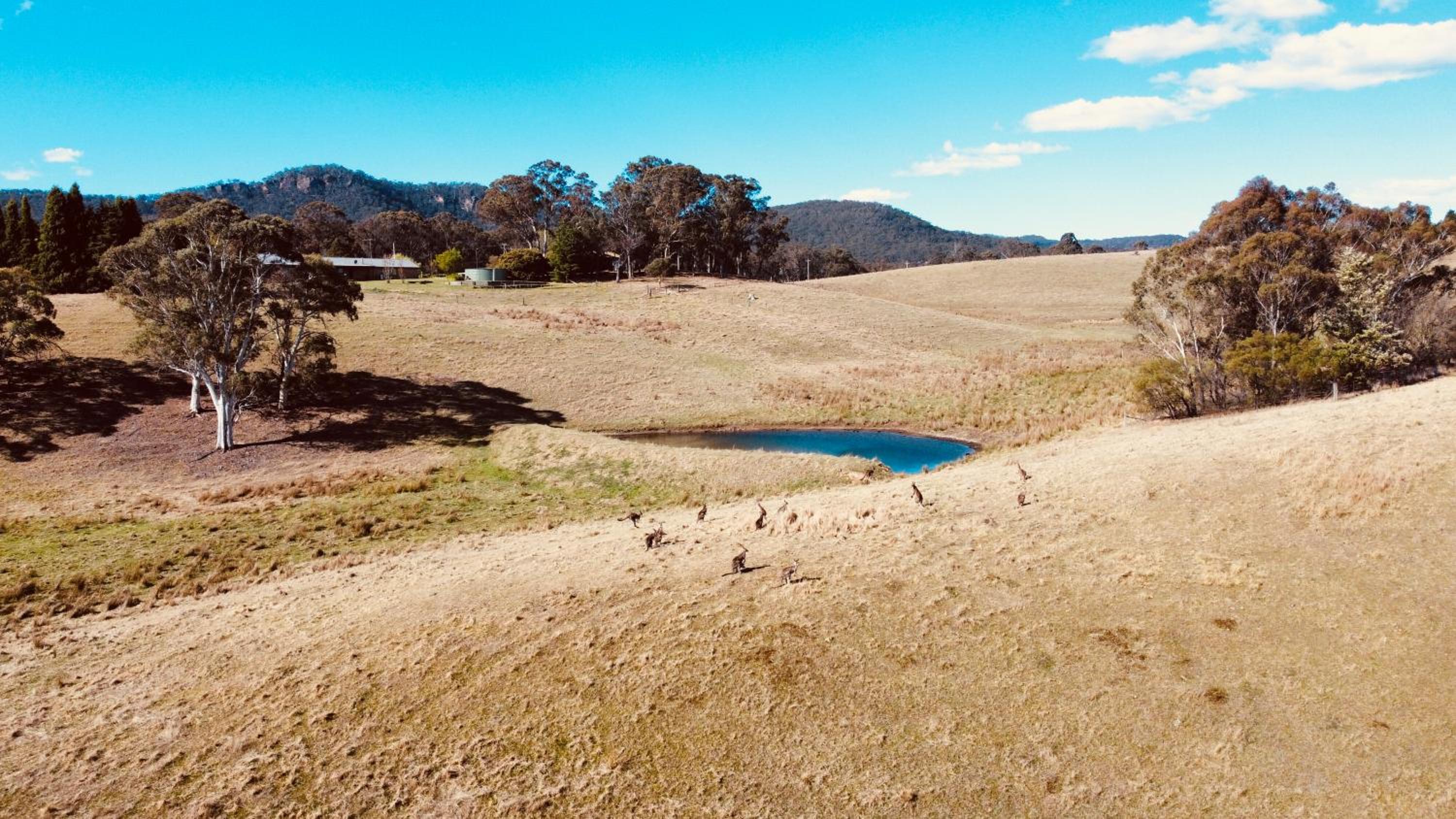 Mountain Culture Farm Stay - pet friendly