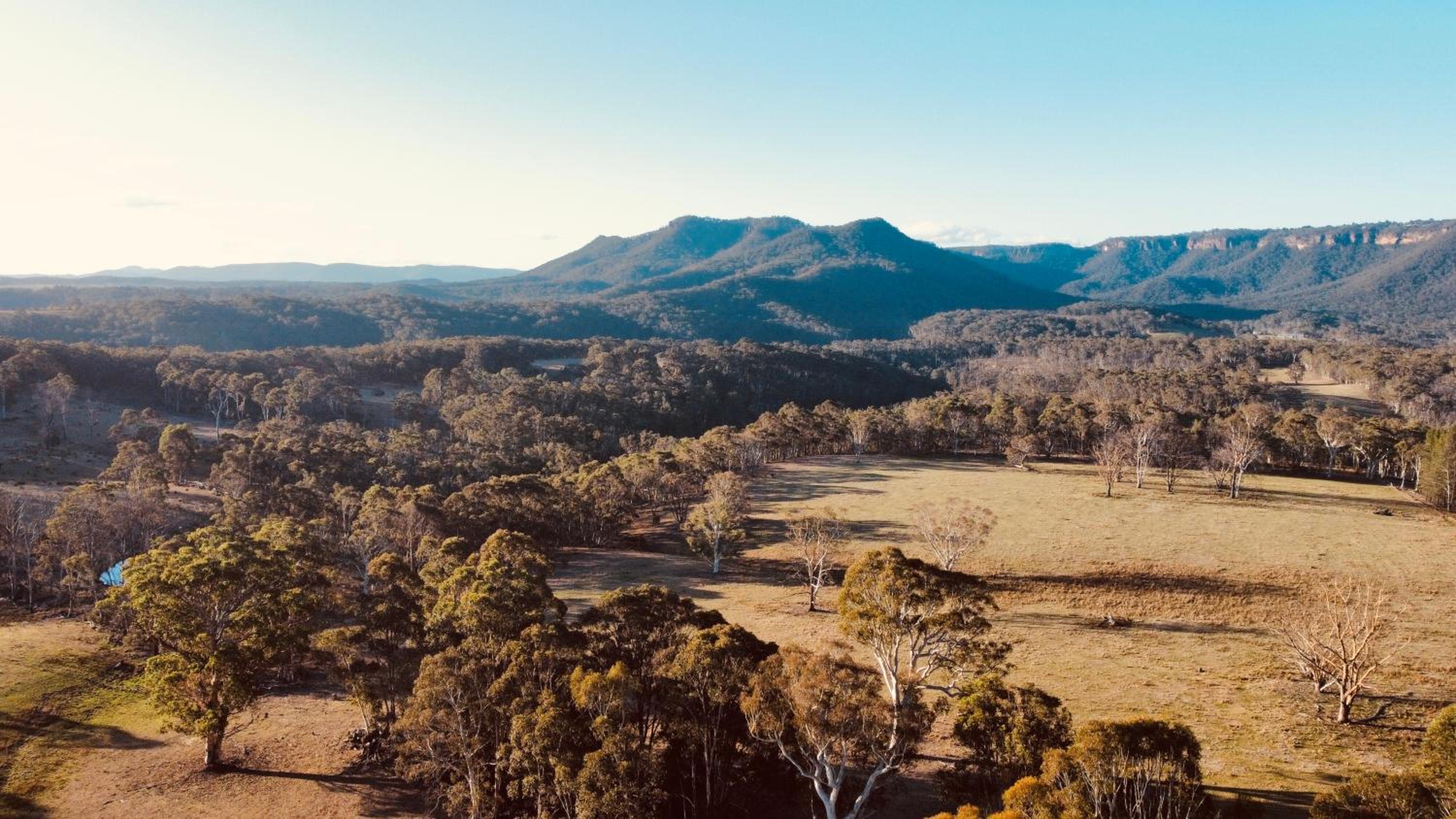 Mountain Culture Farm Stay - pet friendly