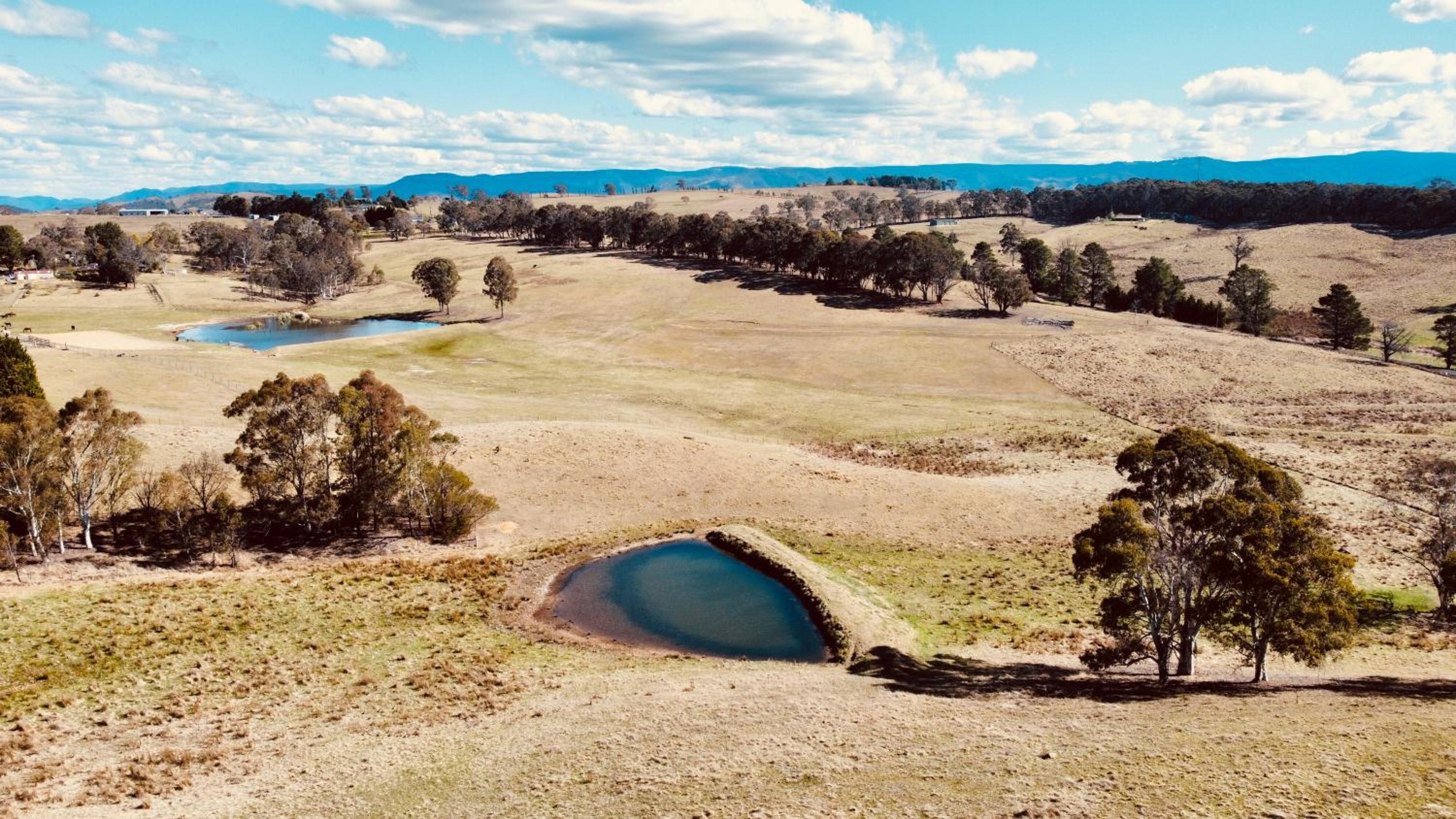 Mountain Culture Farm Stay - pet friendly