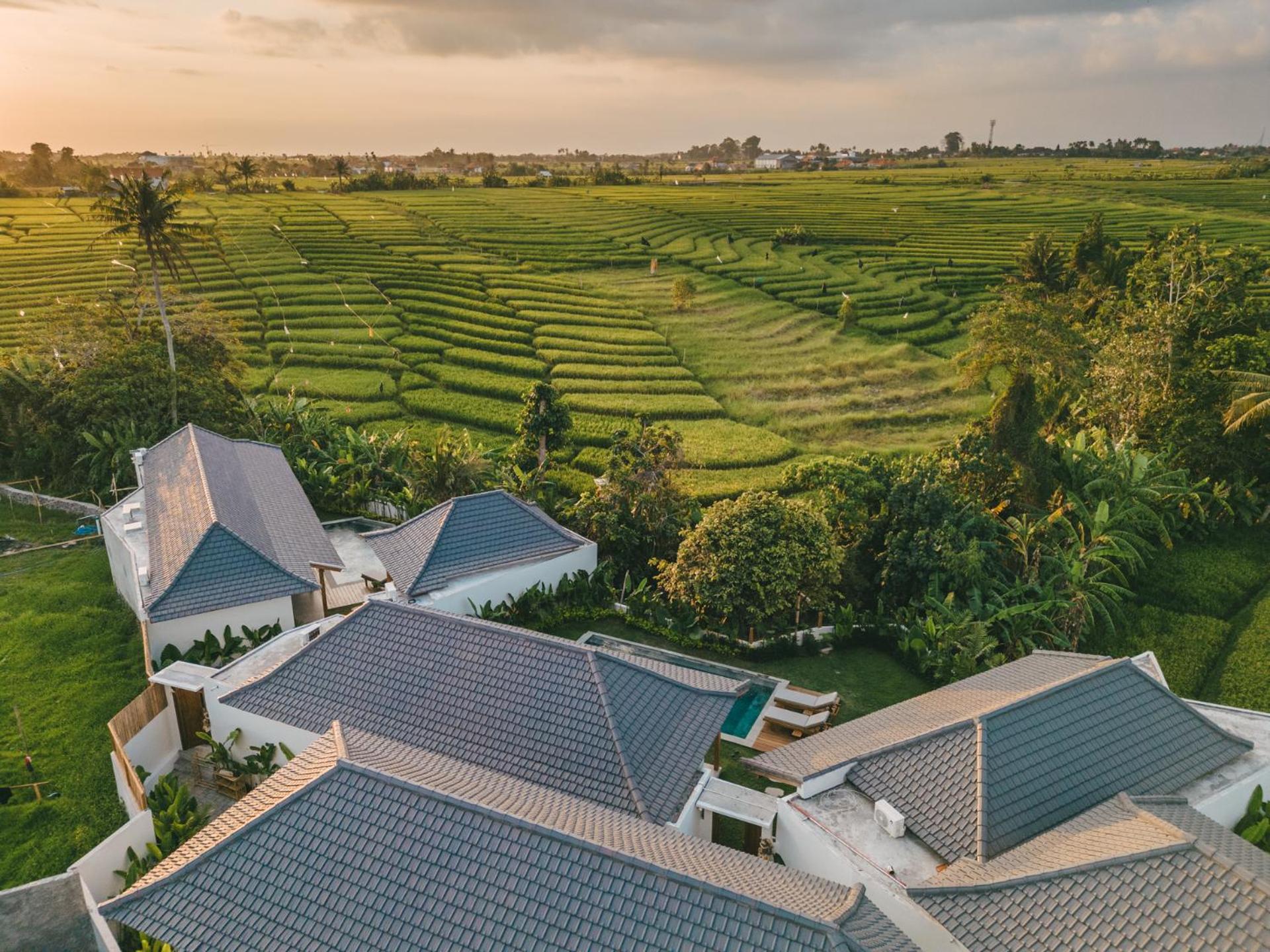 Modern Tropical 3BR villa Seseh, Canggu