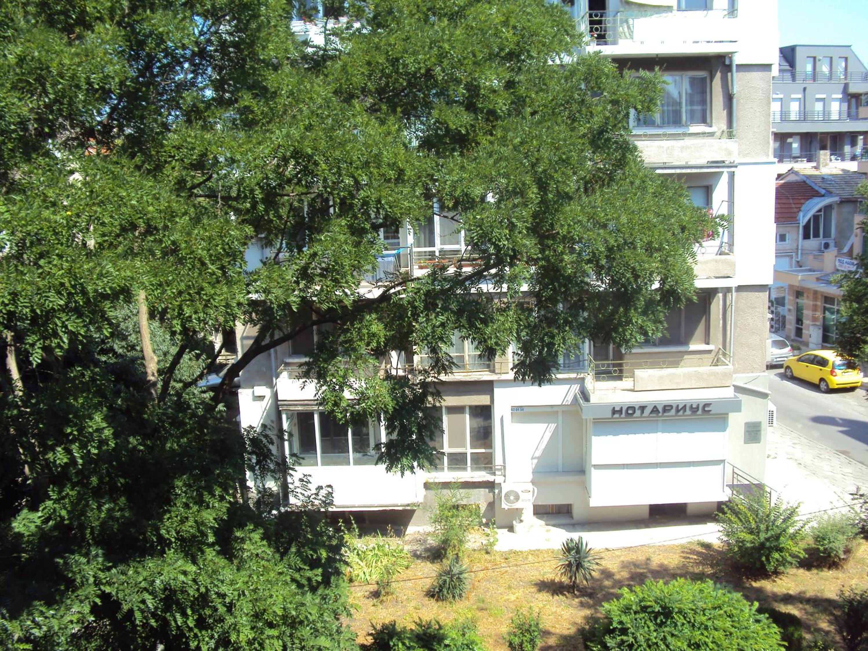 Apartment Alyosha