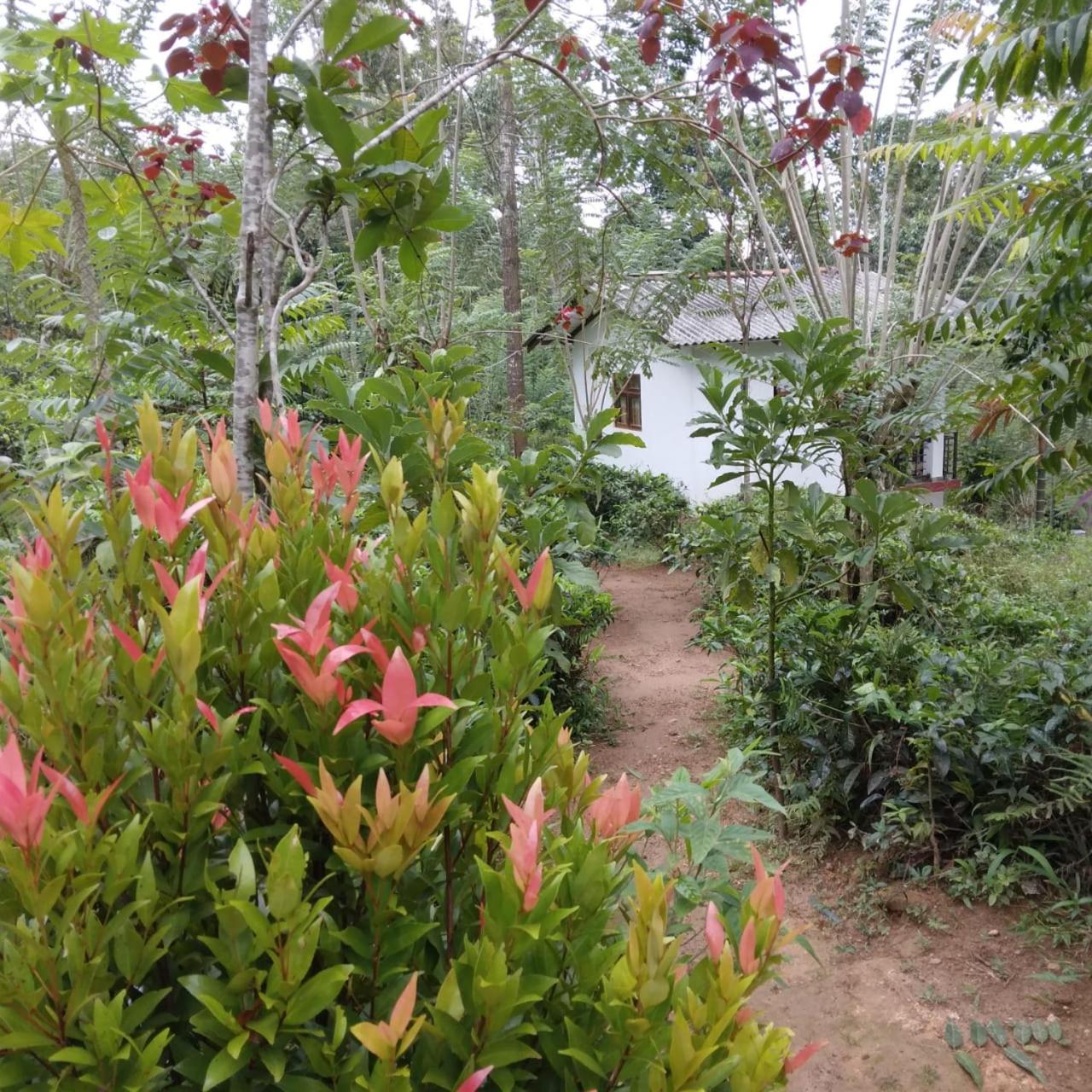 Rivinu Holiday Resort view 5