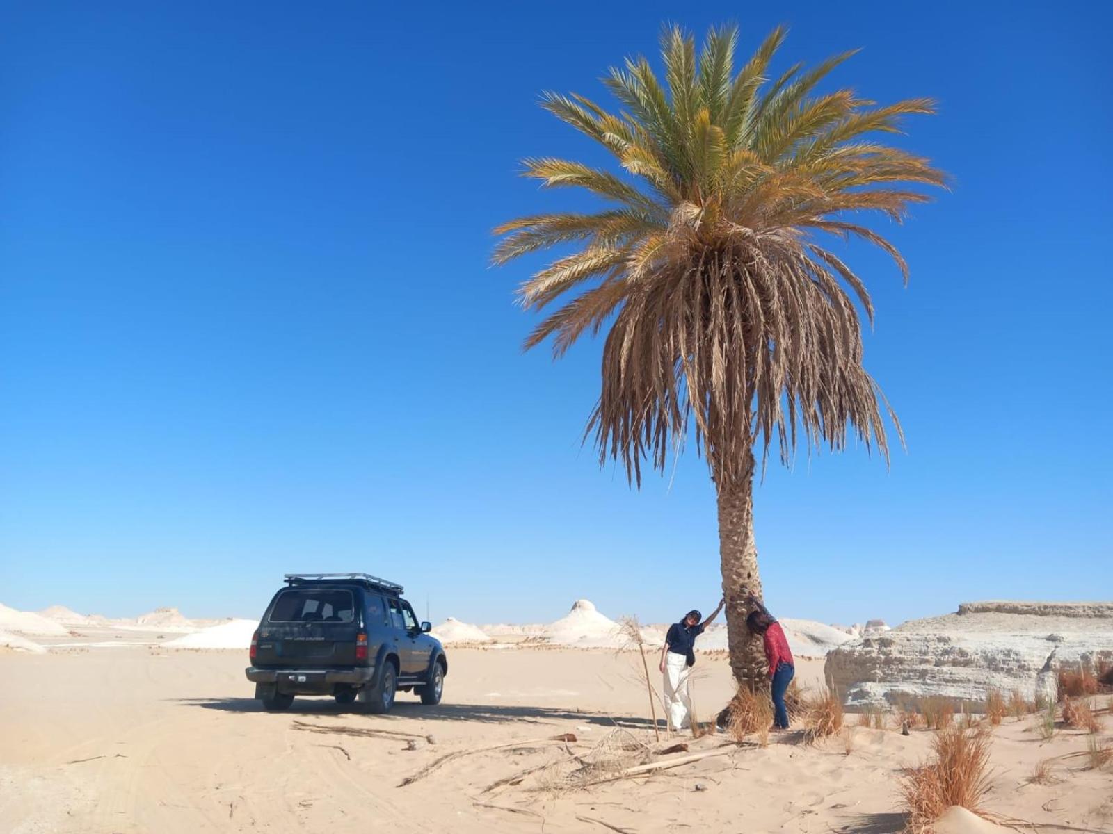 White Desert Safari