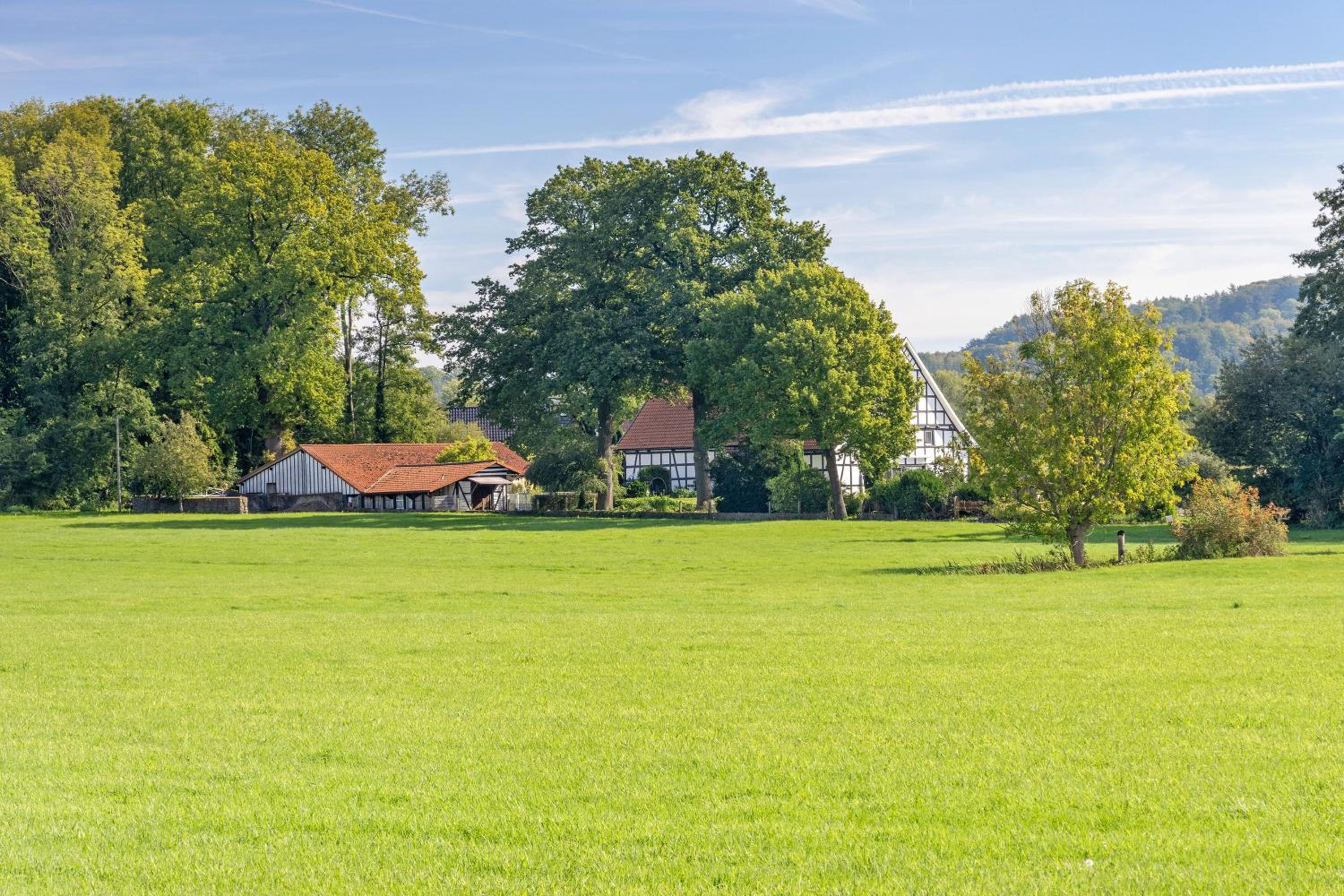 Ferienwohnung im Grünen