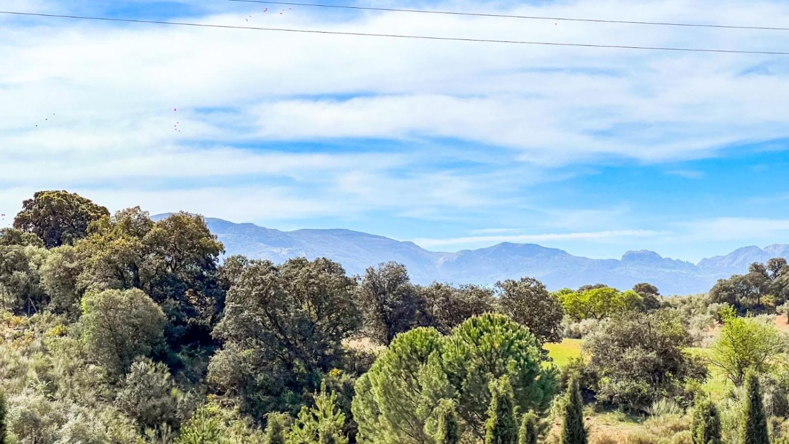 Cortijo La Serena