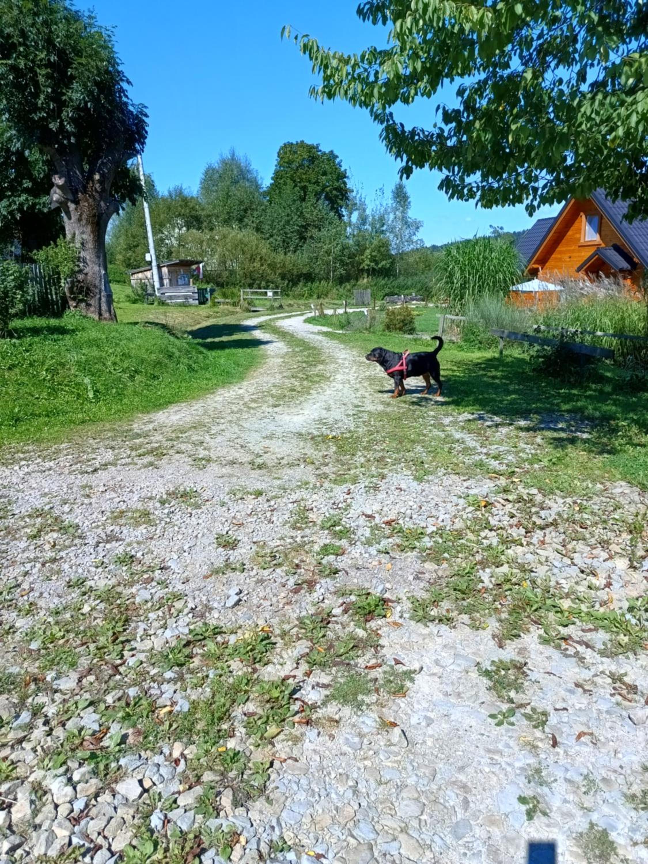 Dolina Rosy