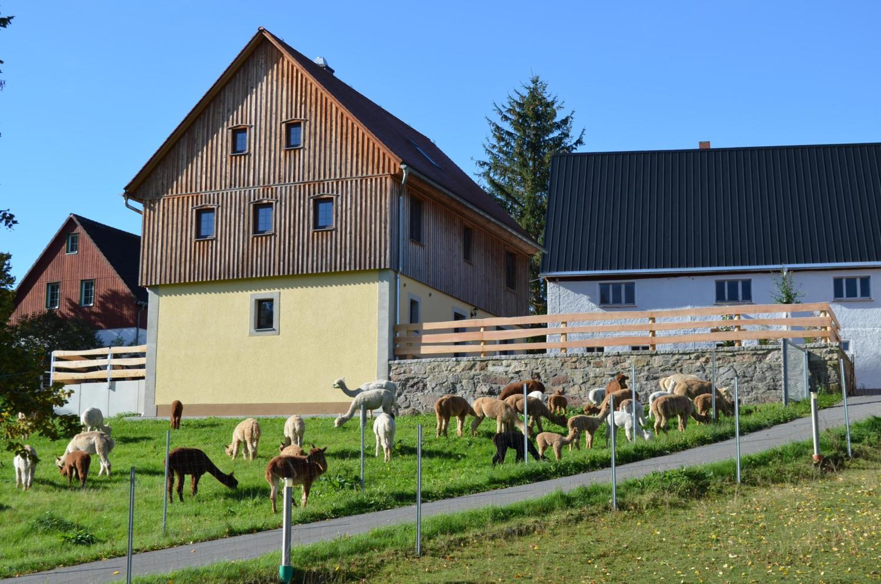 Ferienhaus Alpaka Glück