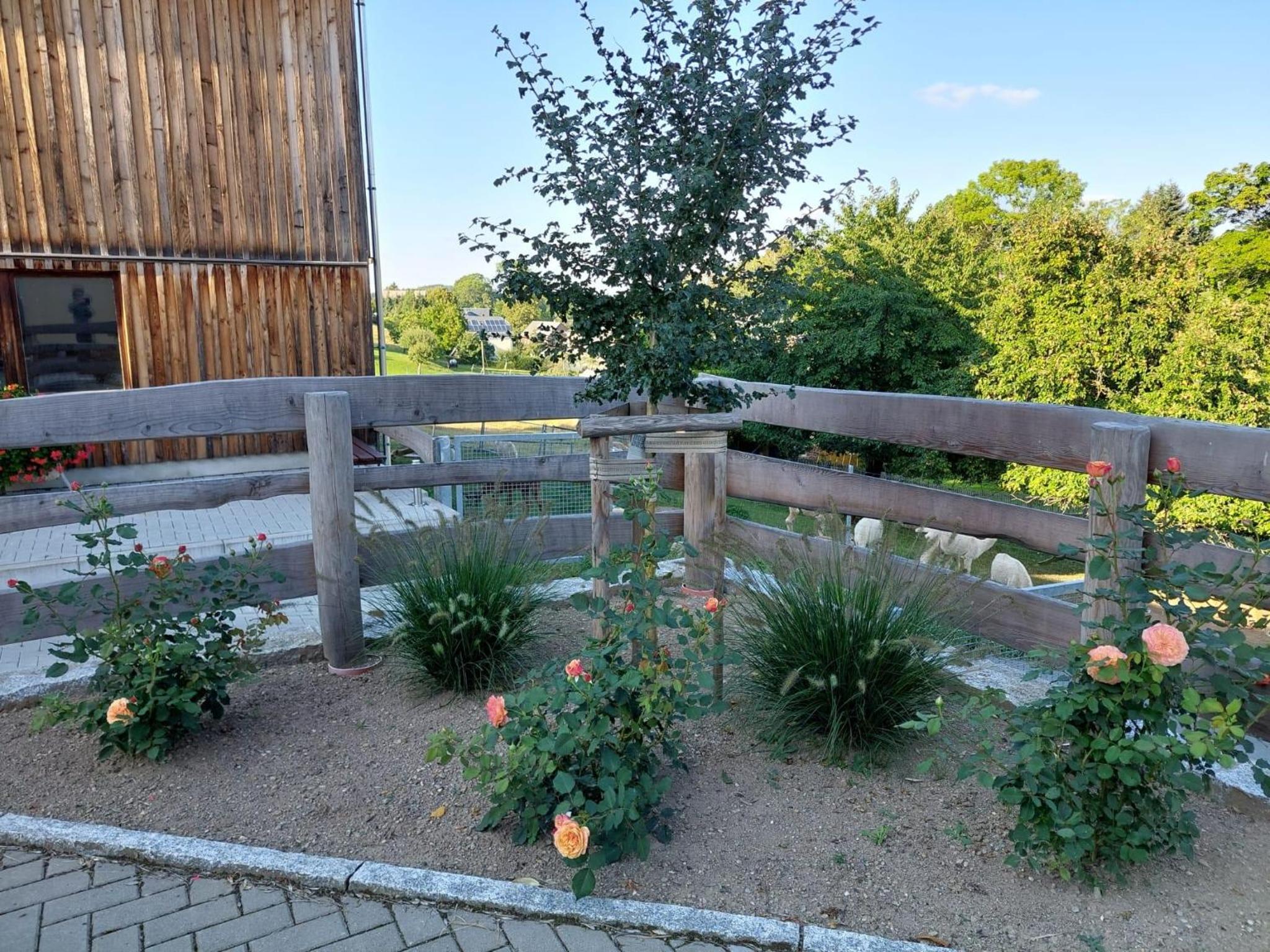 Ferienhaus Alpaka Glück