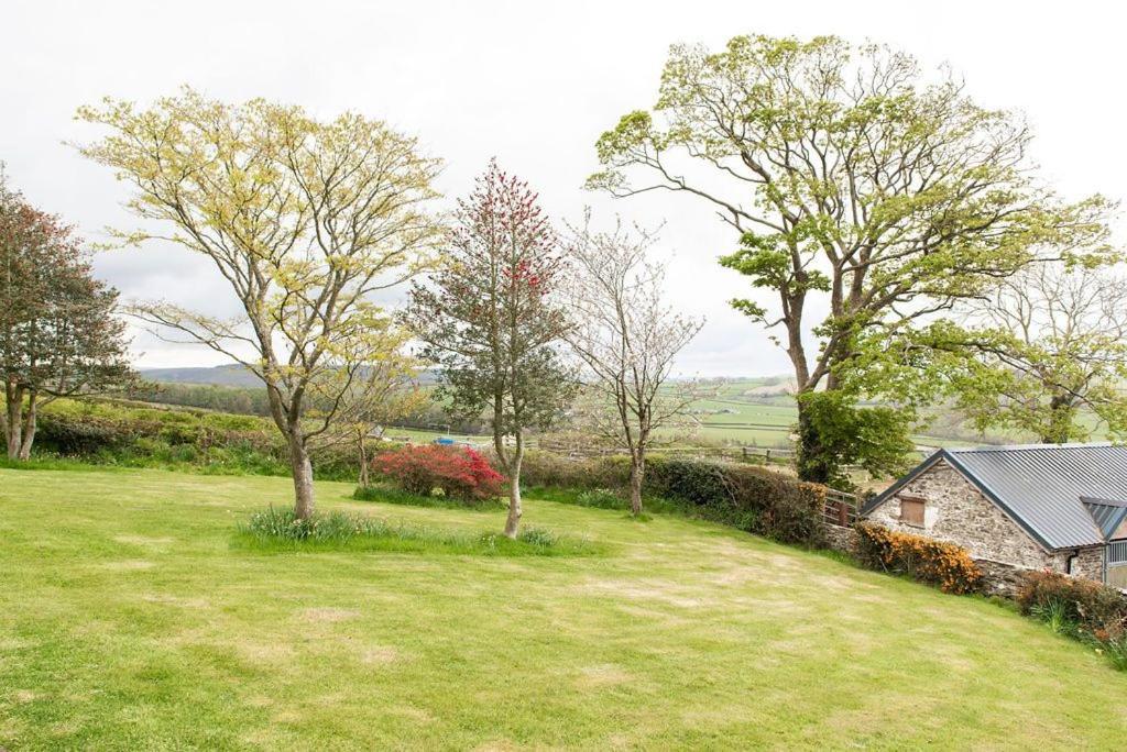 Penuwch Fach