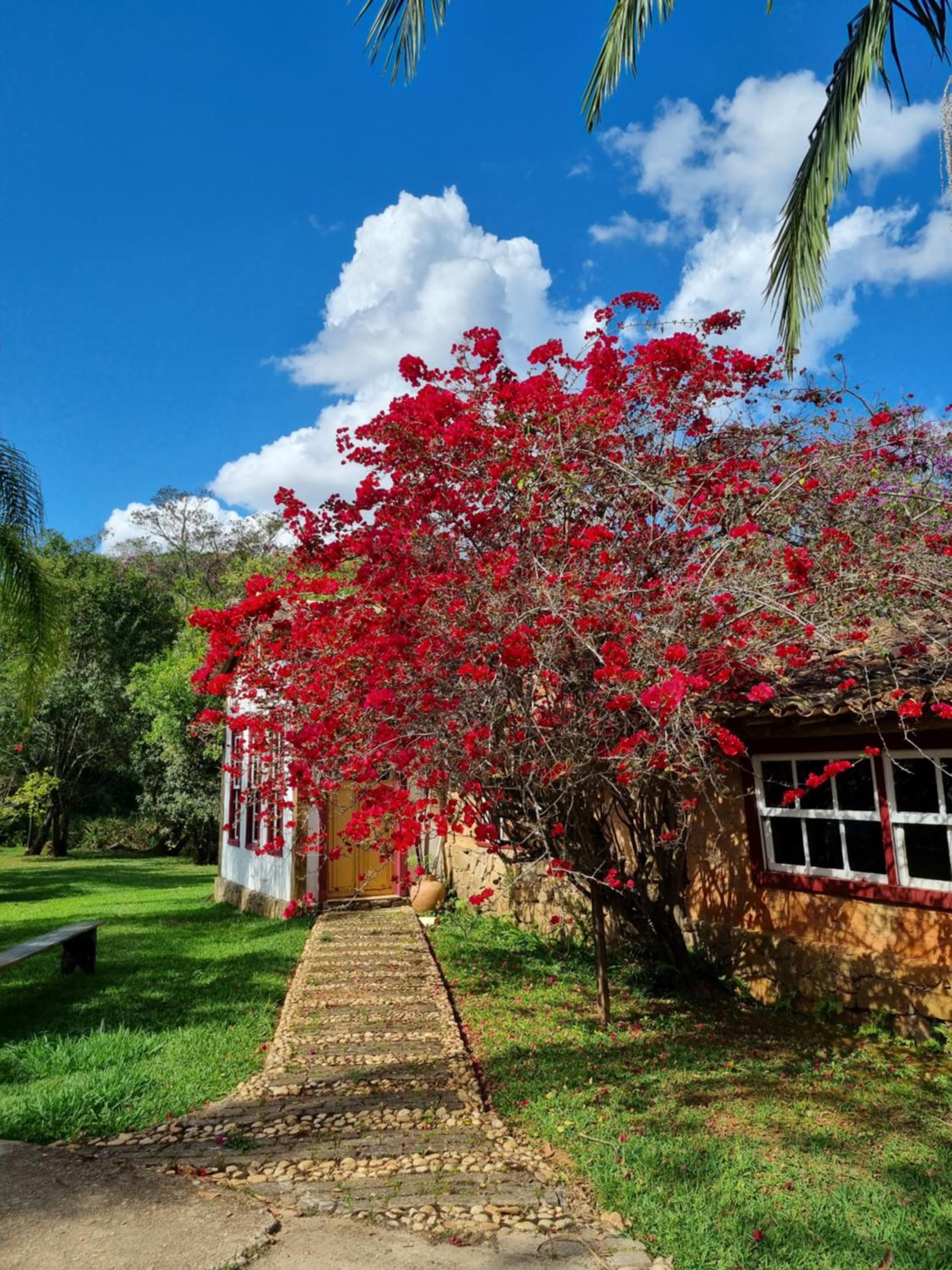 Pousada Cipó Artes