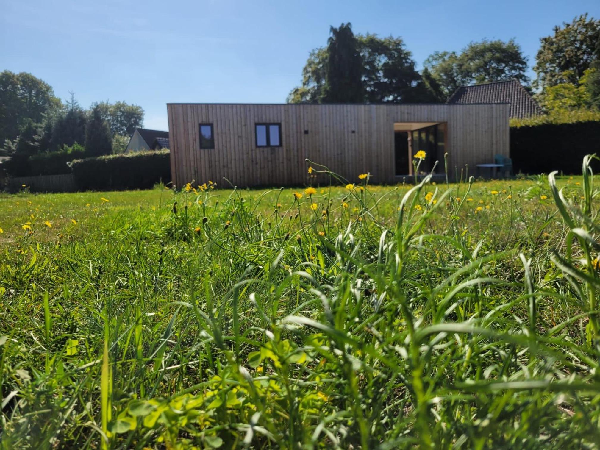 Bonte schaap view 3