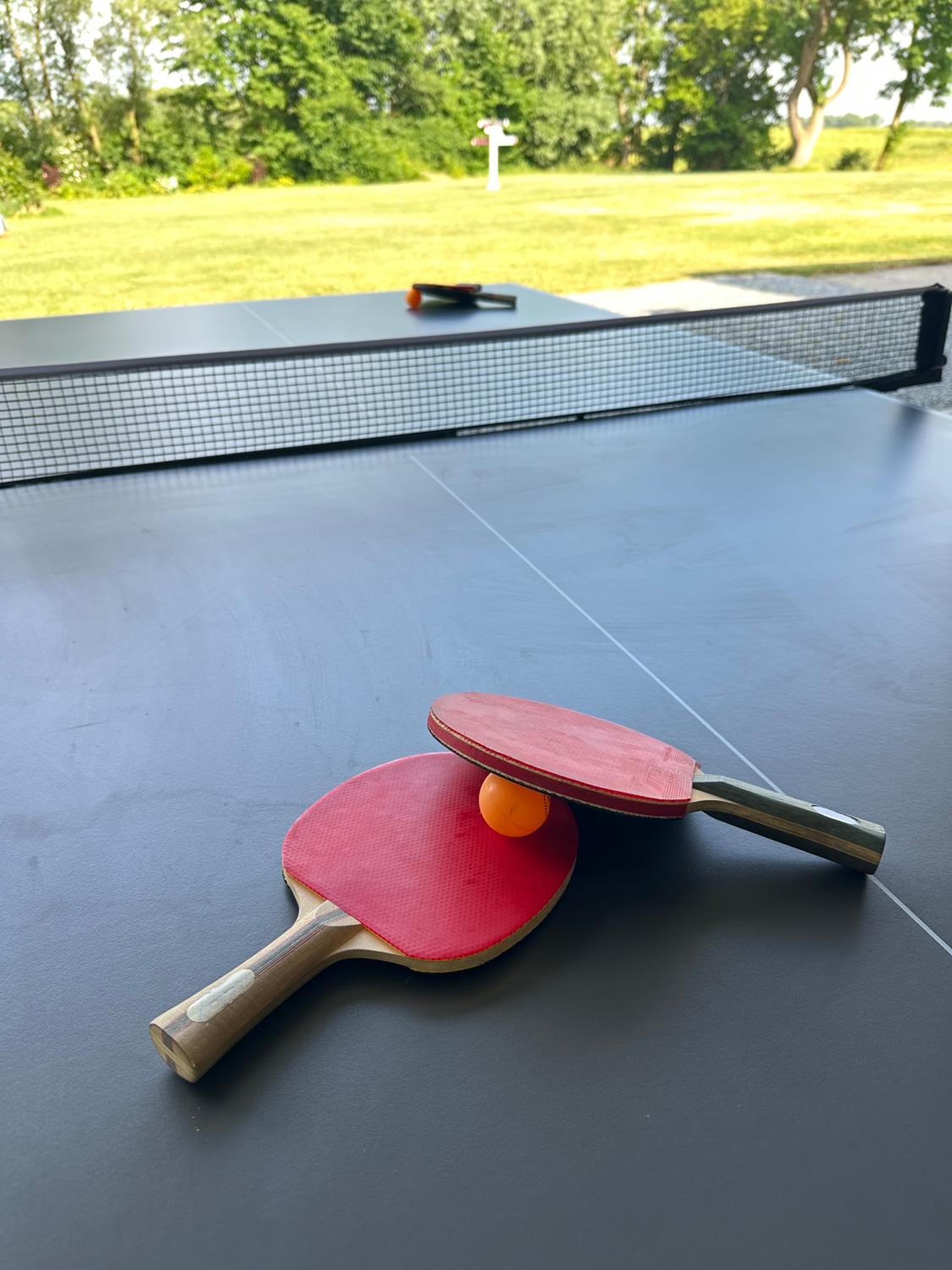 Reetdachhaus, Sauna, E-Bikes, 6 Personen