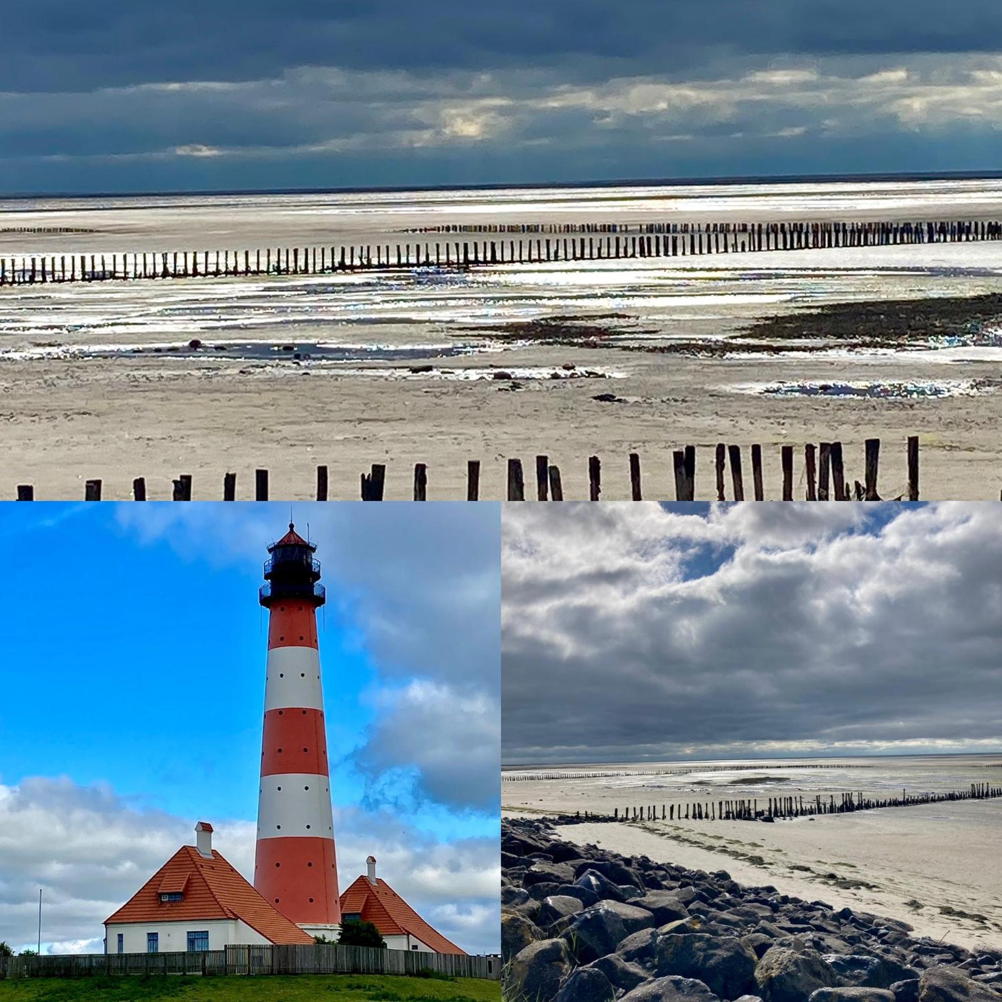 Reetdachhaus, Sauna, E-Bikes, 6 Personen