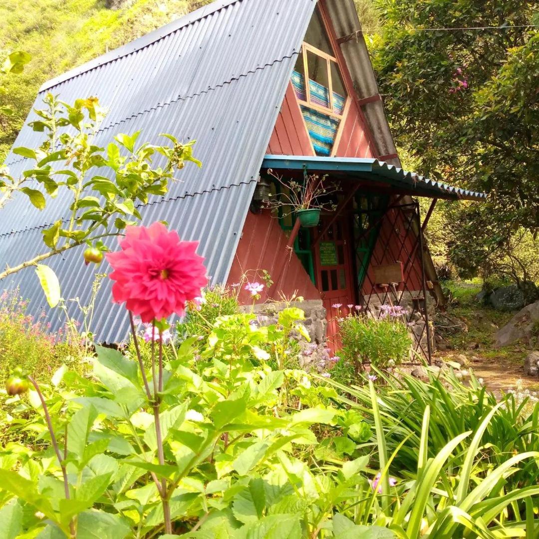 The lookout Hideaway cabin