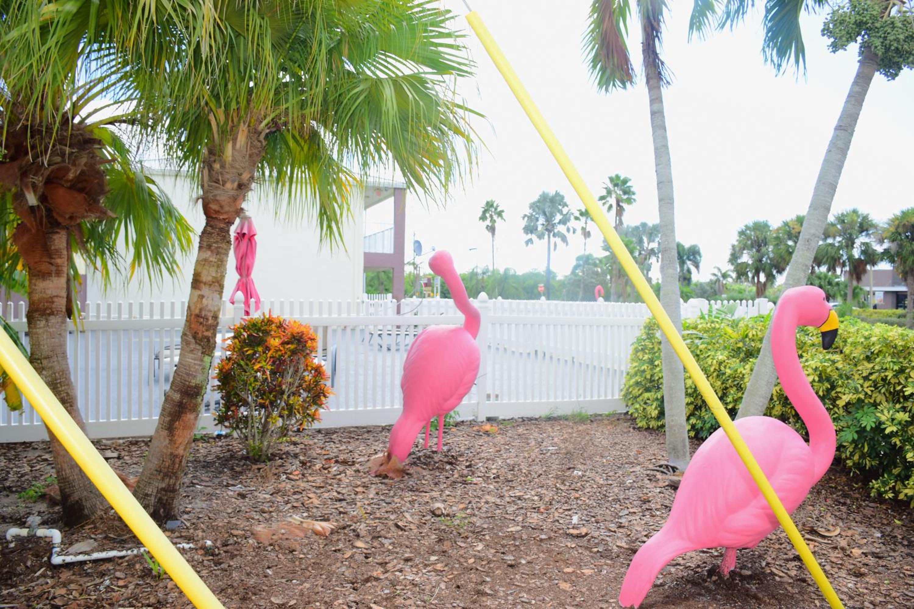 Okeechobee Vacations - Flamingo Motel - Property Image 2