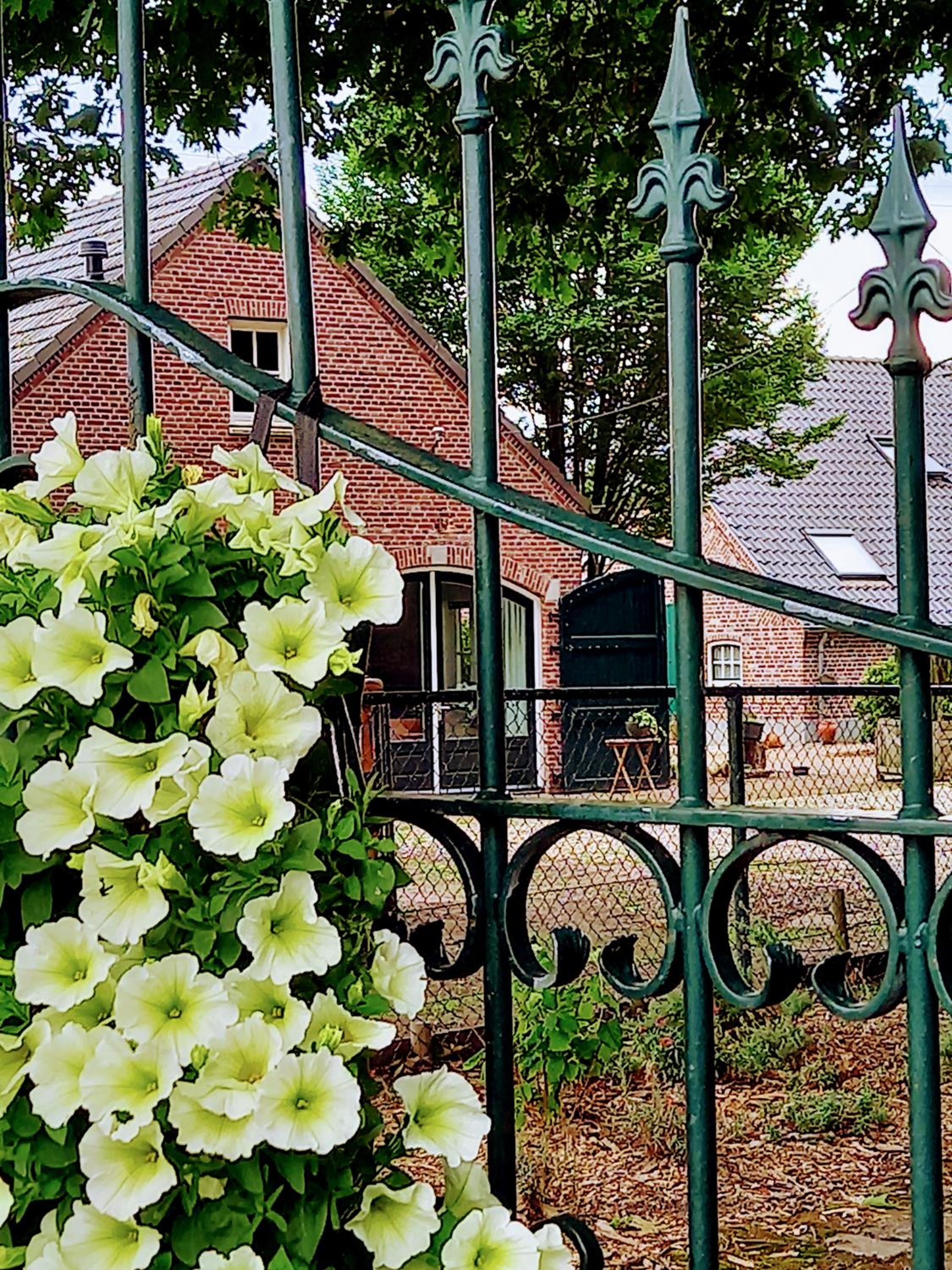 mooie familie groepsaccomodatie aan de bosrand view 2