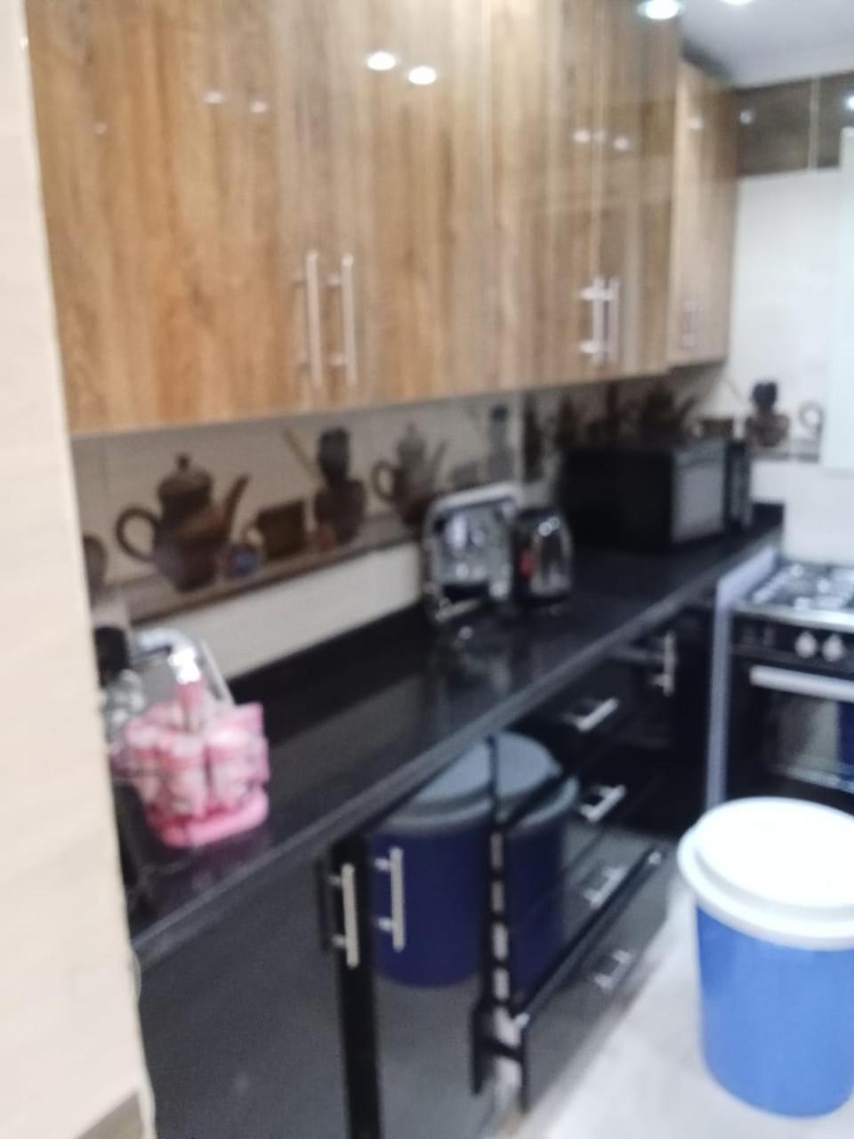 super lux furnished apartment in Al Muhandeseen with a view on the Nile
