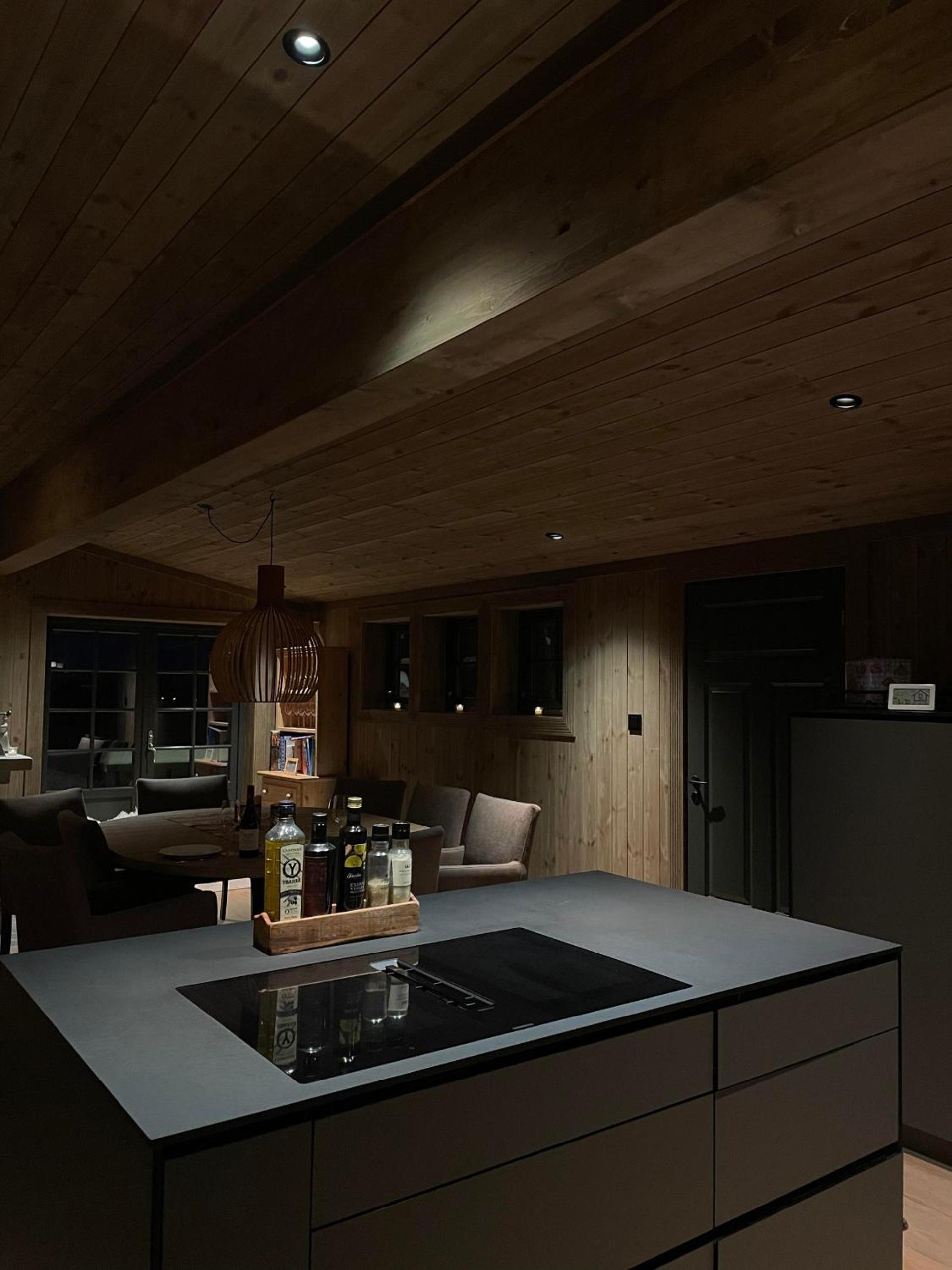 New mountain lodge - Geilo-Kikut - Great location
