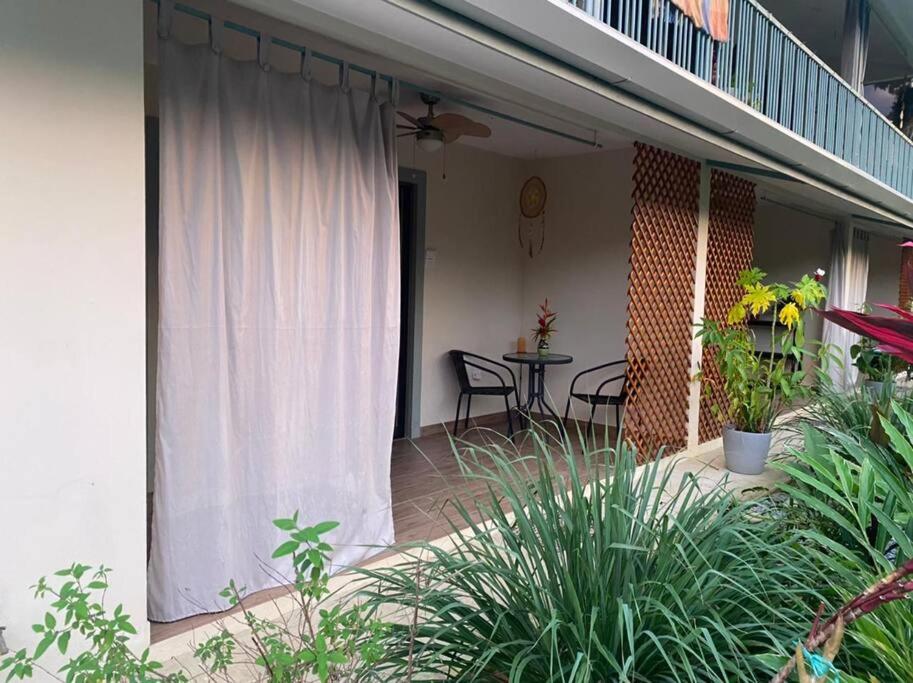 Beautiful studio-apartment near the beach