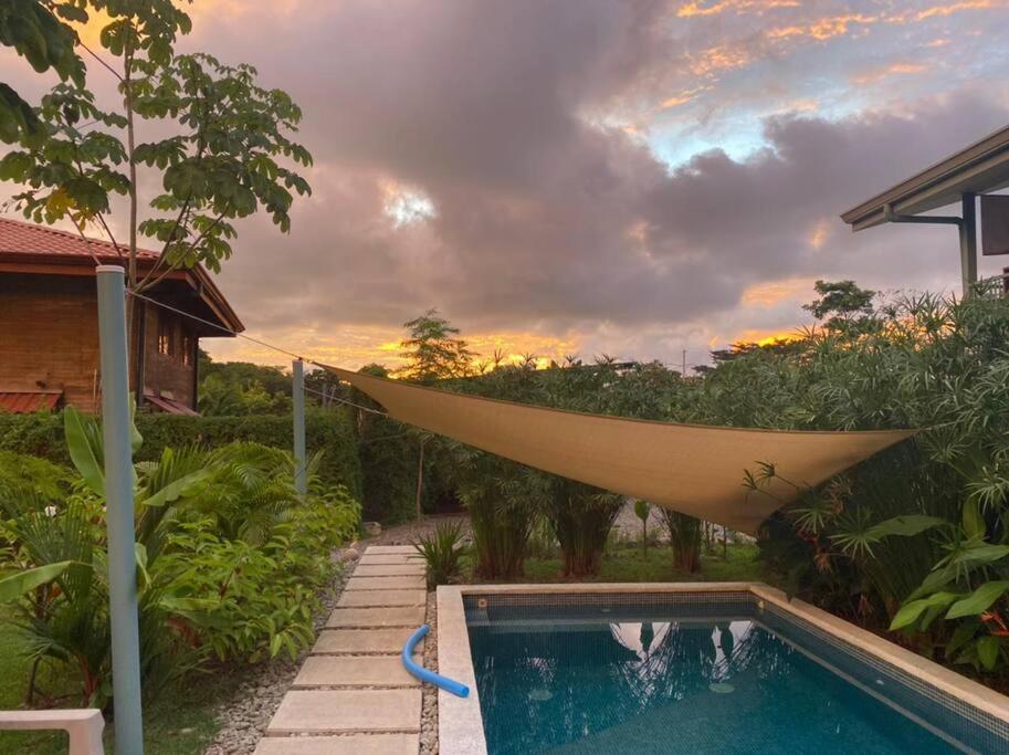 Beautiful studio-apartment near the beach