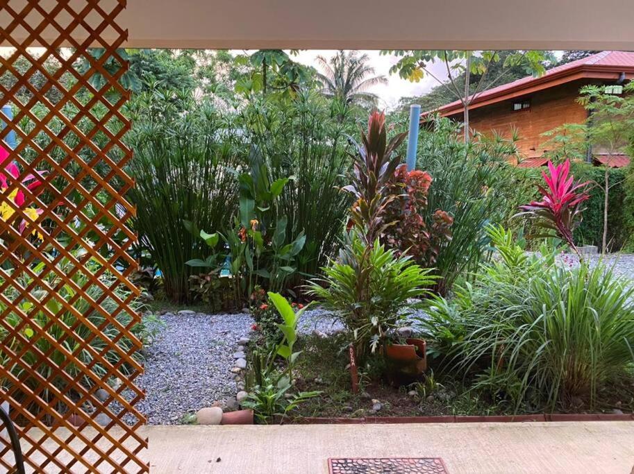 Beautiful studio-apartment near the beach