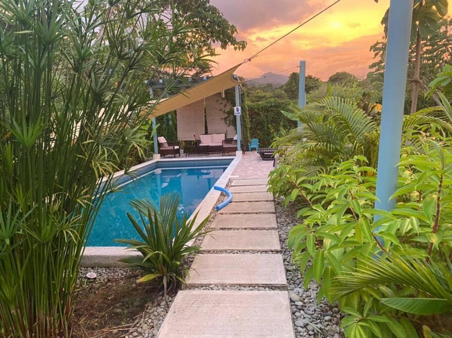 Beautiful studio-apartment near the beach