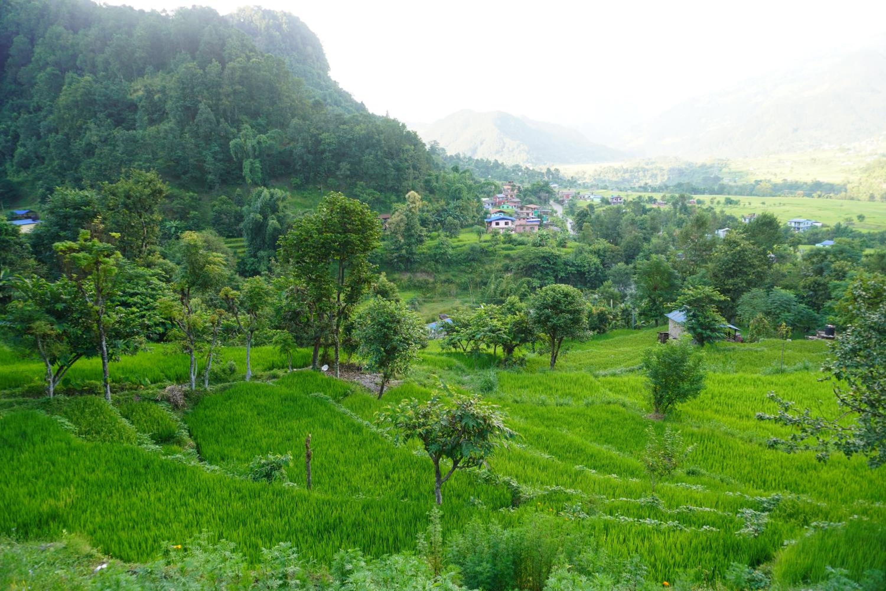 LAMJUNG Villa view 5