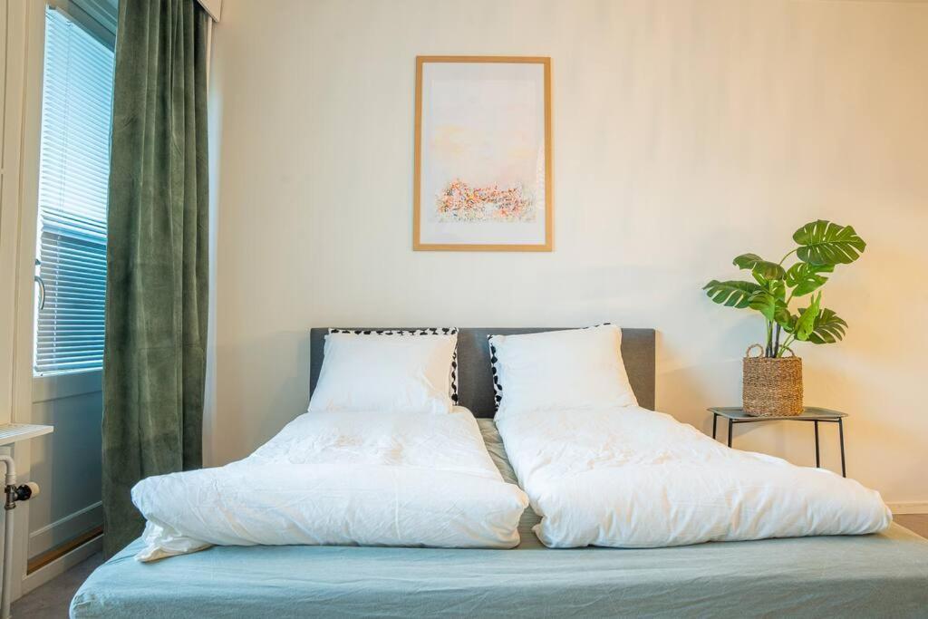 Arctic Downtown Dream: Cozy City Studio