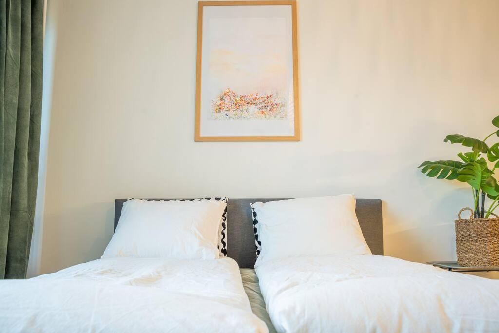 Arctic Downtown Dream: Cozy City Studio