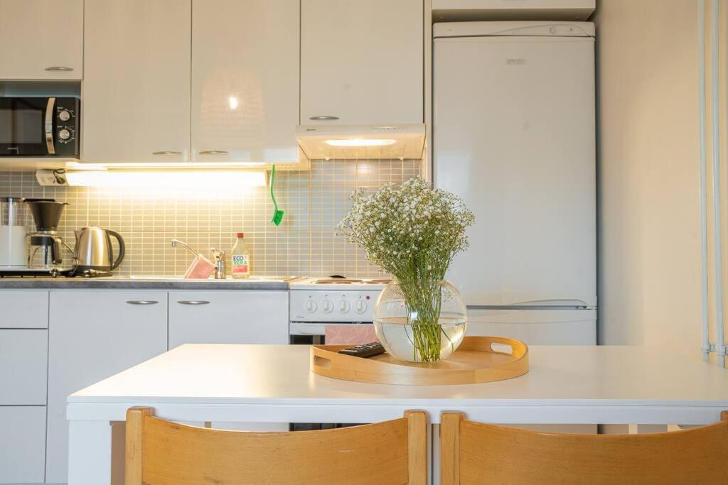 Arctic Downtown Dream: Cozy City Studio